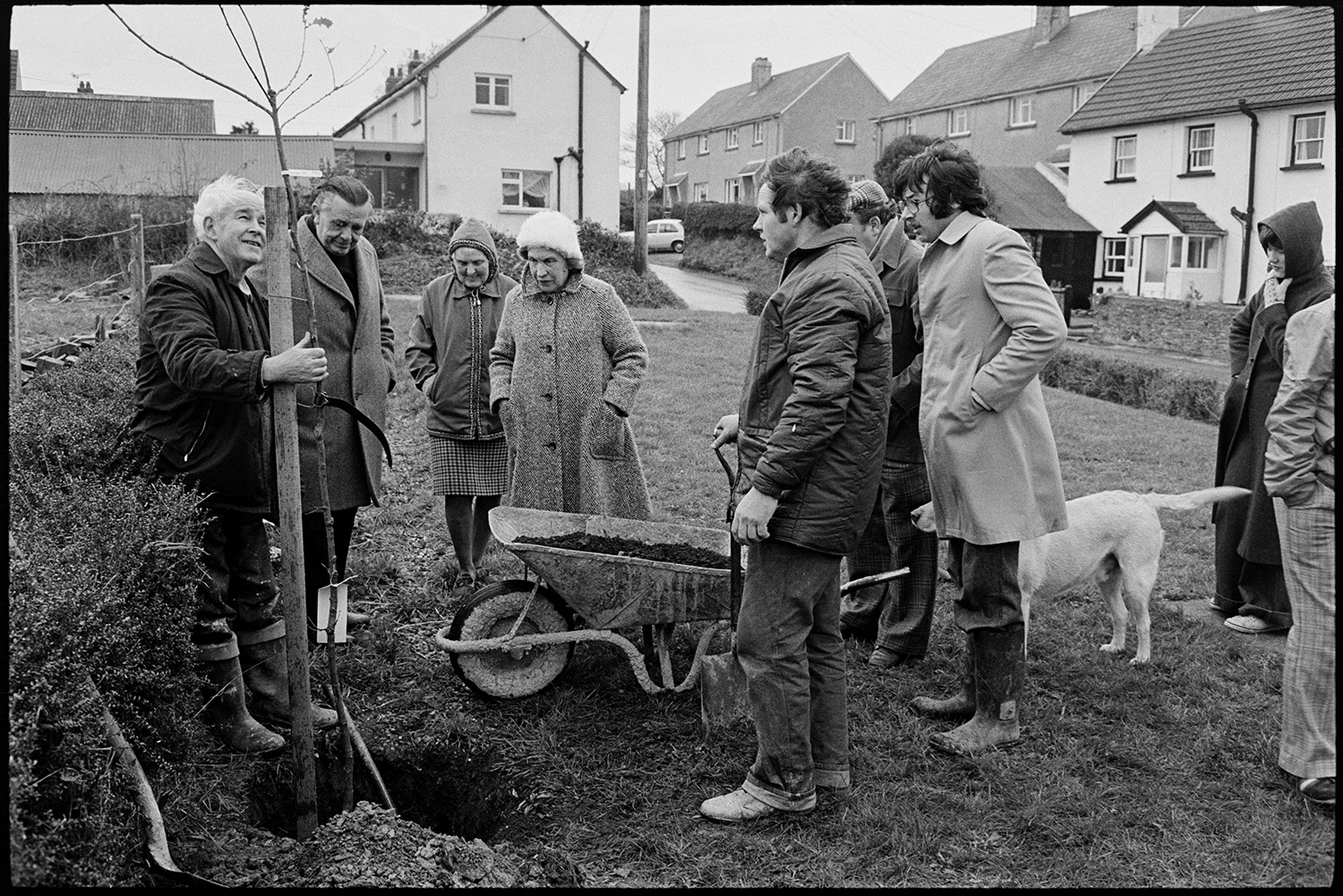 People planting tree to mark the Jubilee. 
[A group of men and women planting a tree in Atherington to celebrate the Silver Jubilee of Queen Elizabeth II. A man is holding the tree, while another man gets ready to fill the hole with earth from a wheelbarrow. A dog is watching with a group of people.]