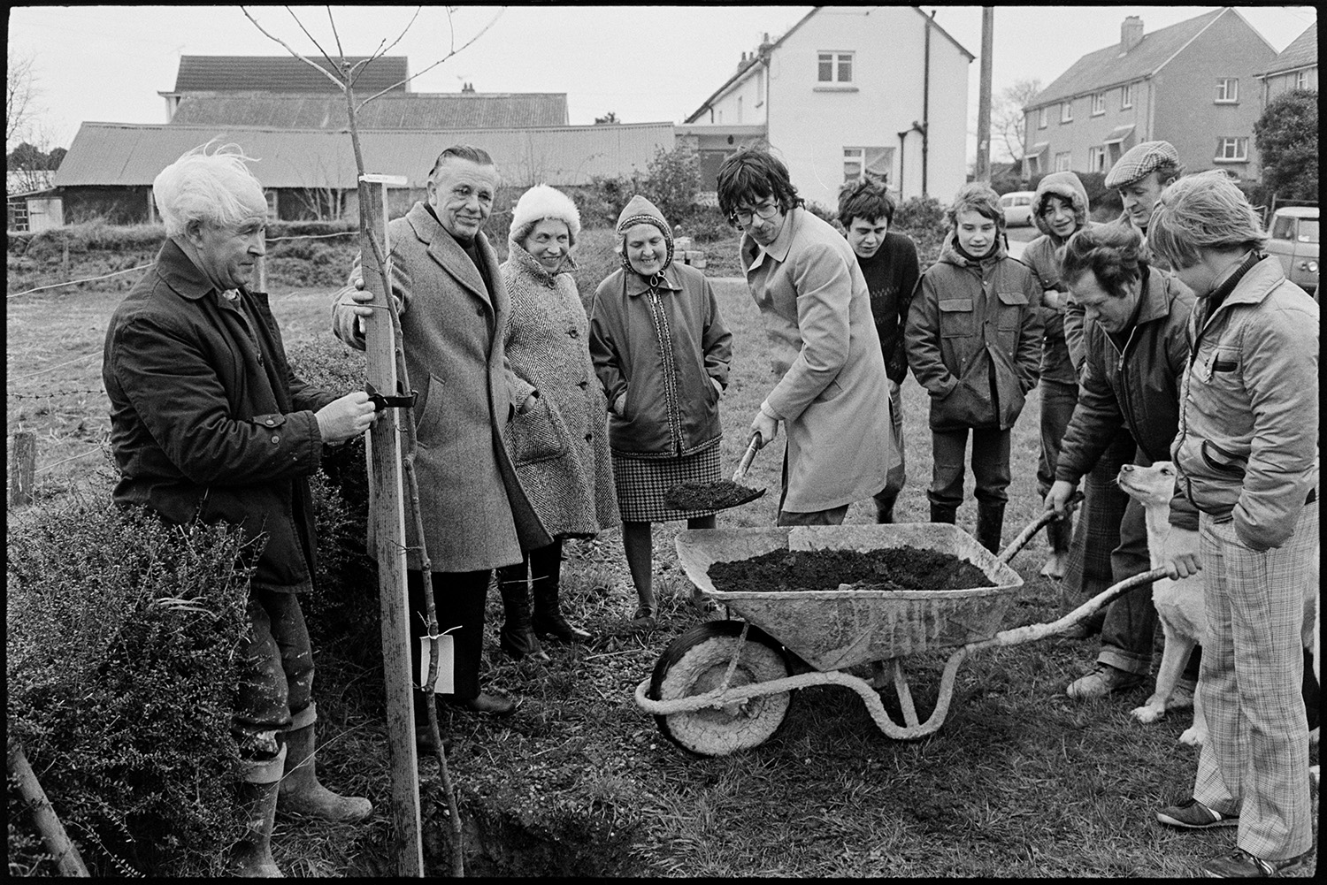 People planting tree to mark the Jubilee. 
[A group of men and women planting a tree in Atherington to celebrate the Silver Jubilee of Queen Elizabeth II. A man is shovelling earth from a wheelbarrow to fill the hole the tree is being planted in. Another man is holding the tree. A group of men, women and teenagers are watching.]
