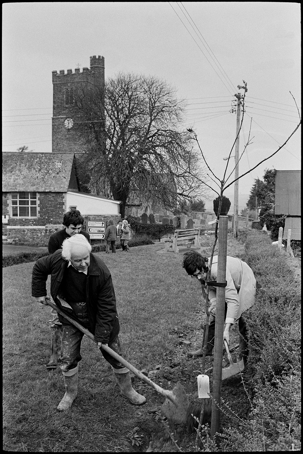 People planting tree to mark the Jubilee. 
[Men planting a tree to celebrate the Silver Jubilee of Queen Elizabeth II in Atherington. Two men are filling the hole with earth. The church tower with a clock can be seen in the background.]