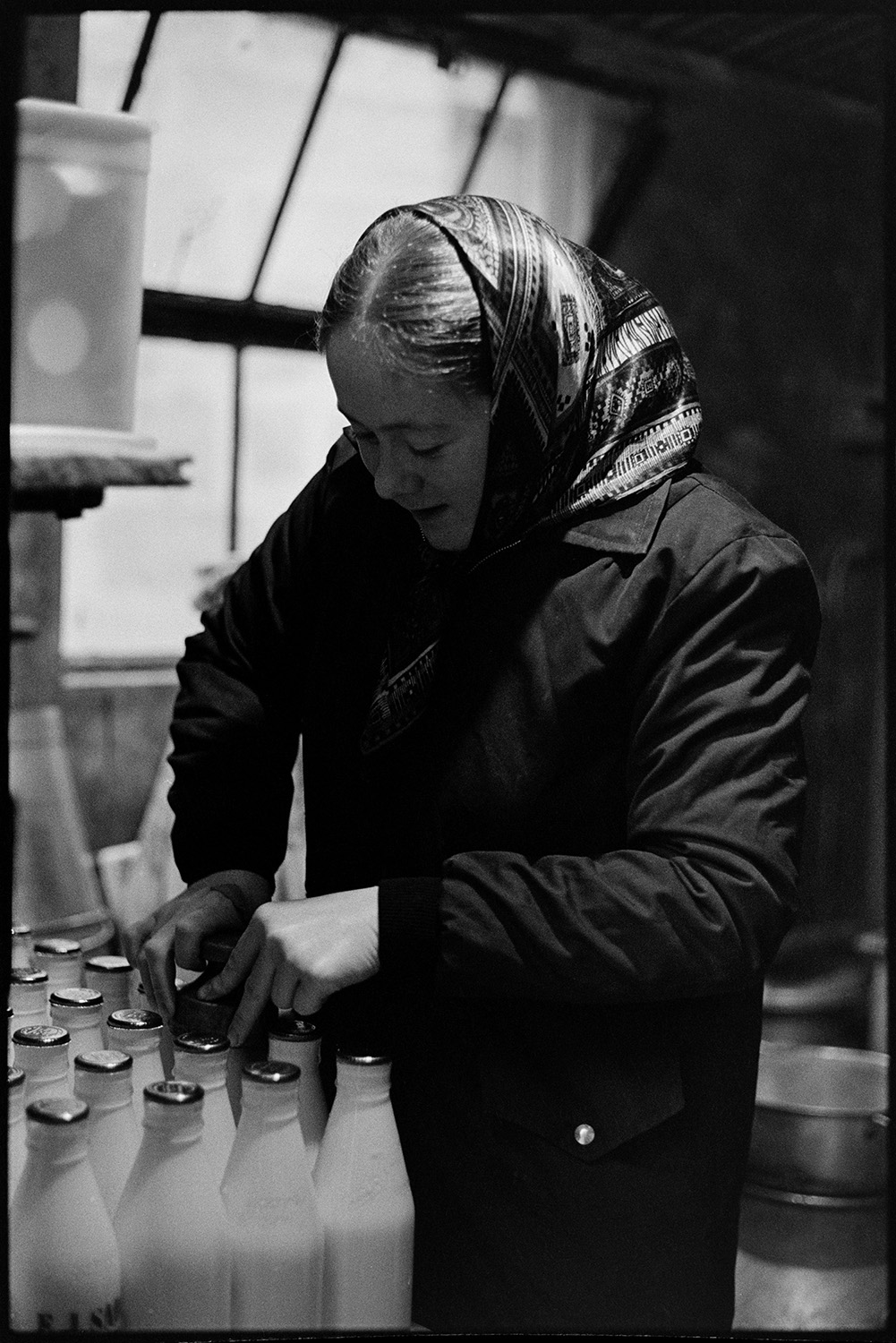 Woman putting tops on milk bottles. 
[Susan Woolacott putting caps on milk bottles at Verdun, Atherington, before delivering them around the village.]