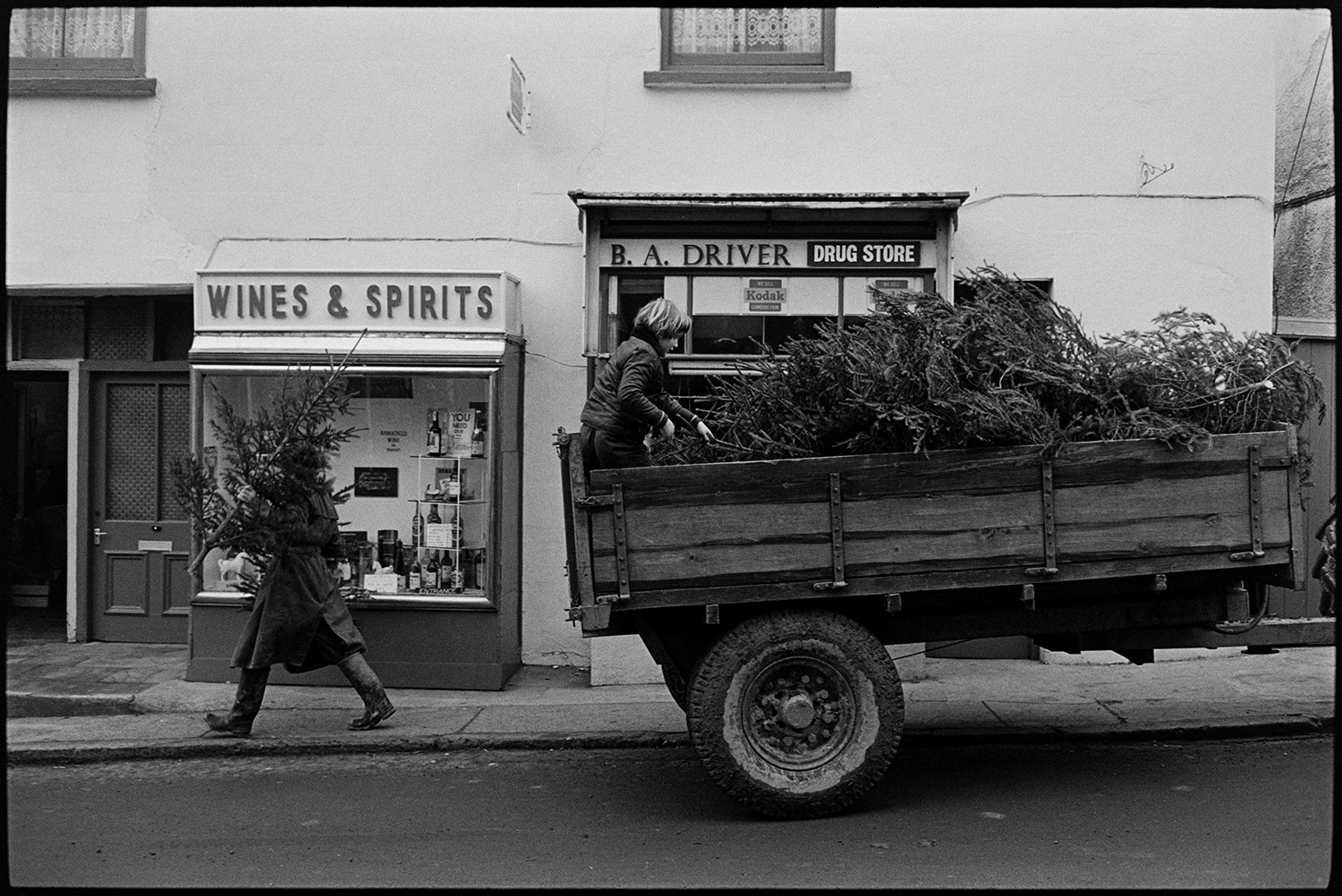 Delivering Christmas trees to shop. 
[Two people delivering Christmas trees to shops in Hatherleigh. They are unloading the trees from a trailer parked outside the shops fronts of Wines & Spirits and B A Driver, Drug Store.]