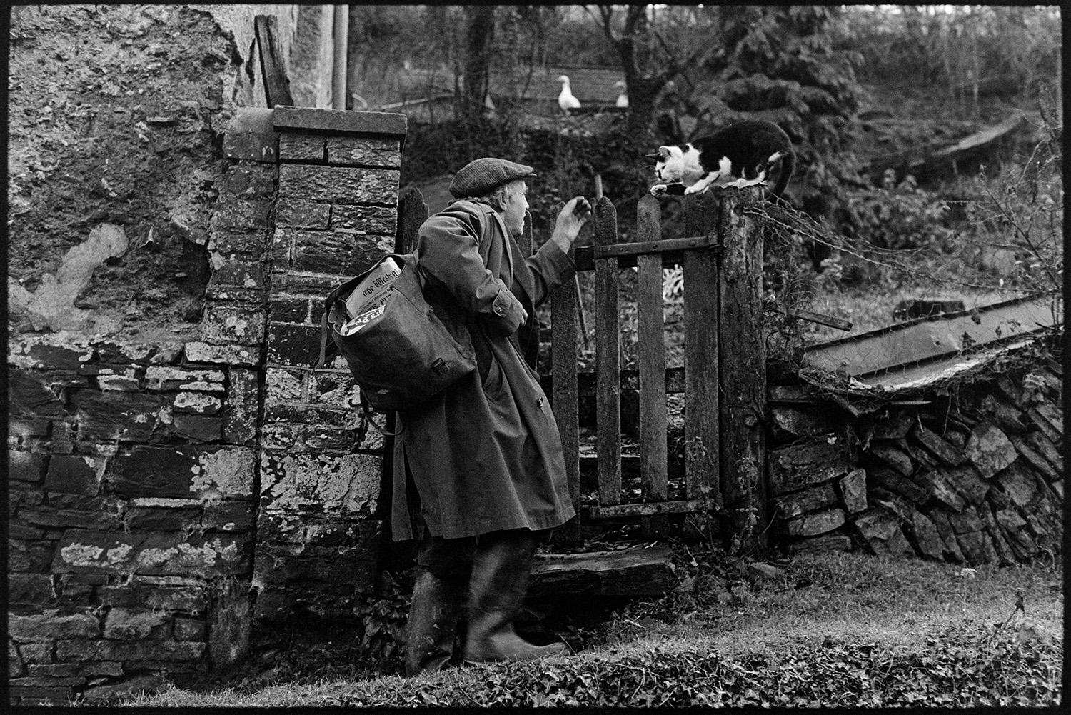 Farmworker returning home to greet cat on gate. 
[Ivor Brock greeting his cat sat on his gatepost at Millhams, Dolton, as he returns home from work. He is carrying a rucksack on his shoulder.]