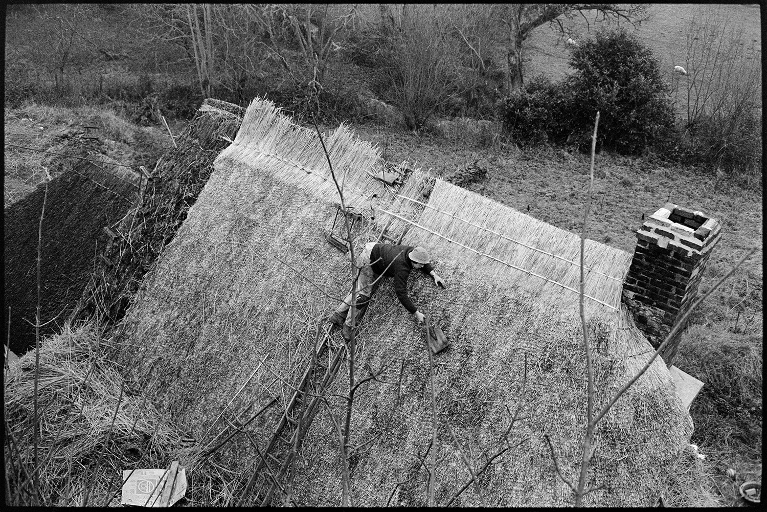 Thatcher working on cottage roof, seen from above. 
[Mr Littlejohn up a ladder thatching a roof at Addisford, Dolton. The images is taken from above the roof.]