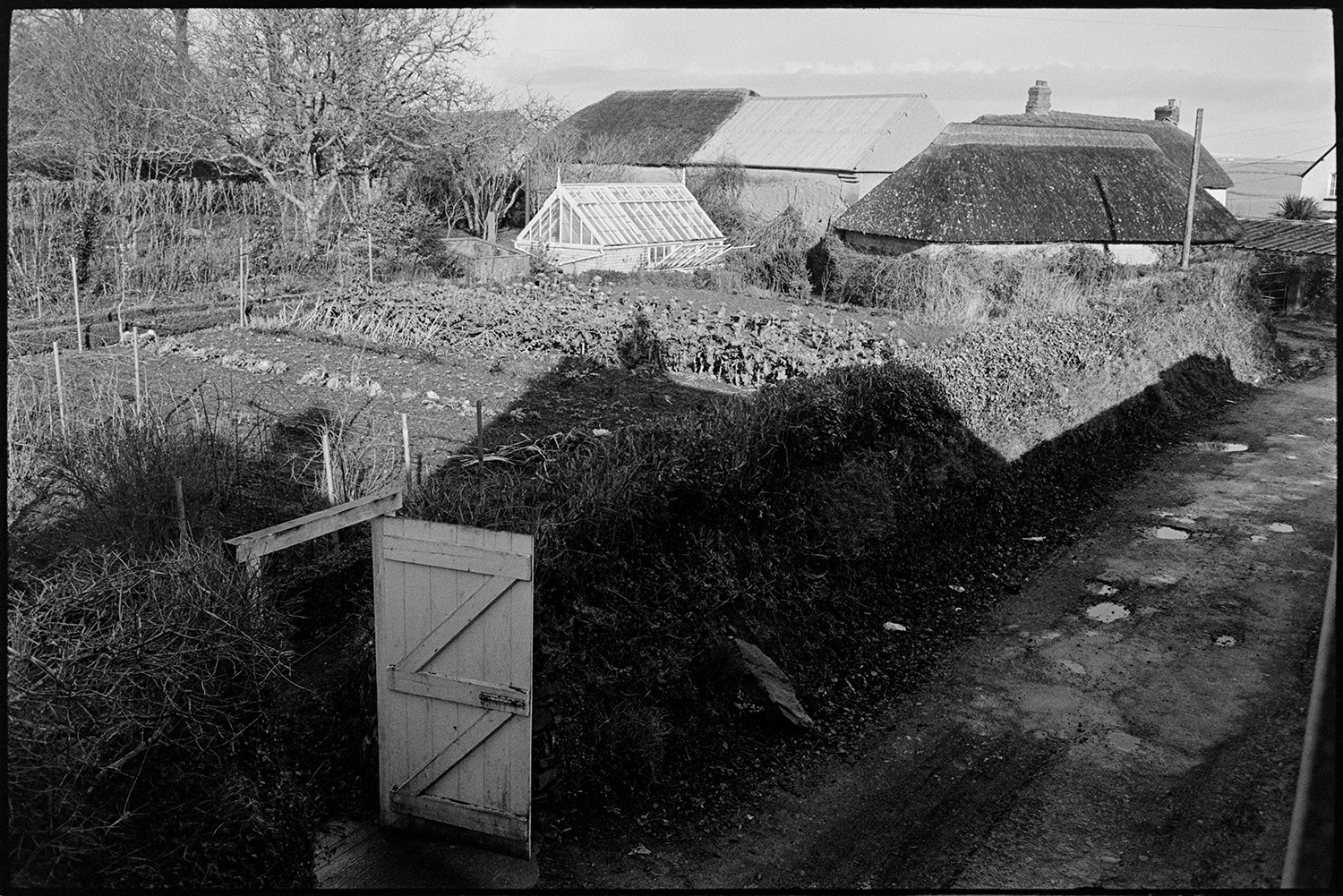 Buildings in Arts Centre gardens. 
[A vegetable garden, greenhouse and thatched buildings at the Beaford Centre at Greenwarren House, Beaford.]