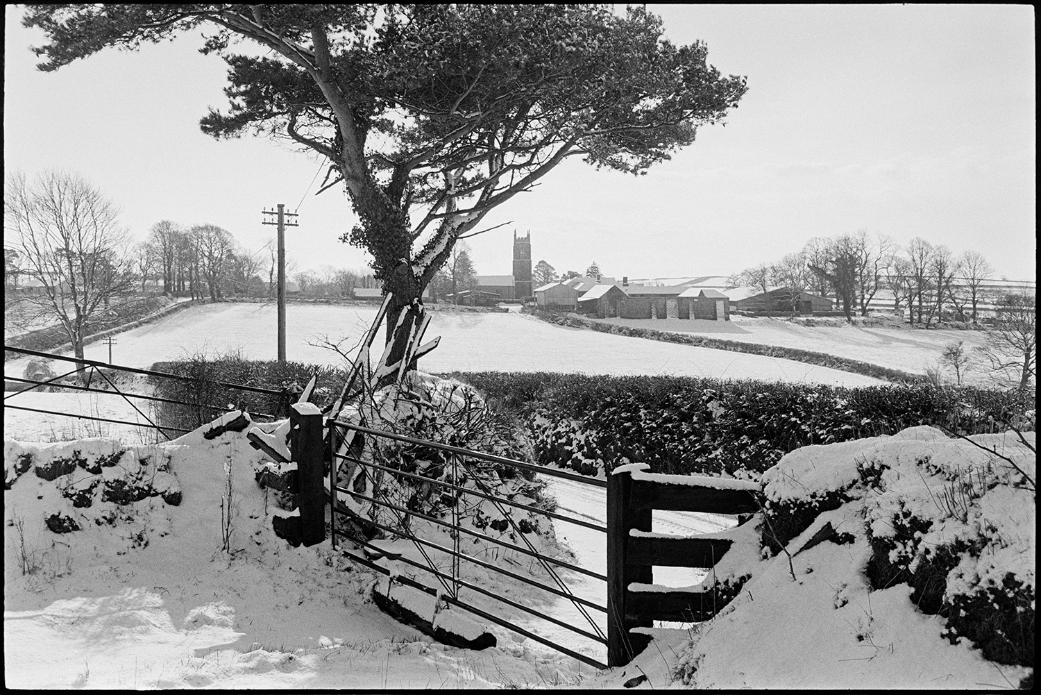 Snow scenes with church tower. 
[Snow covered fields, hedges, trees and field gates at Dowland. The church and buildings in the village are visible in the background.]