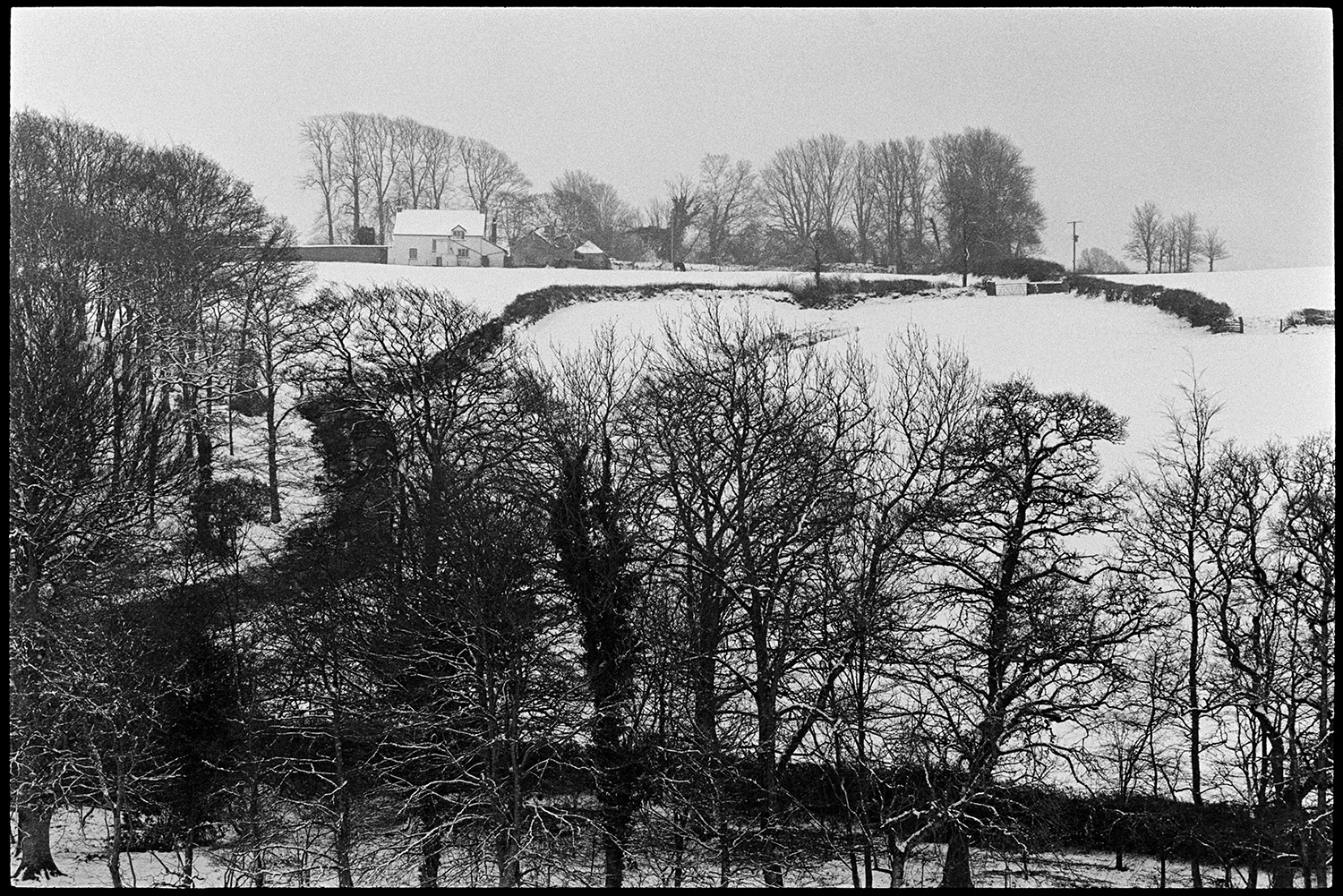 Snow scenes, farmer burning old hedge cuttings. 
[Snow covered fields and trees at Westpark, Iddesleigh. A farmhouse and farm buildings are visible in the background.]
