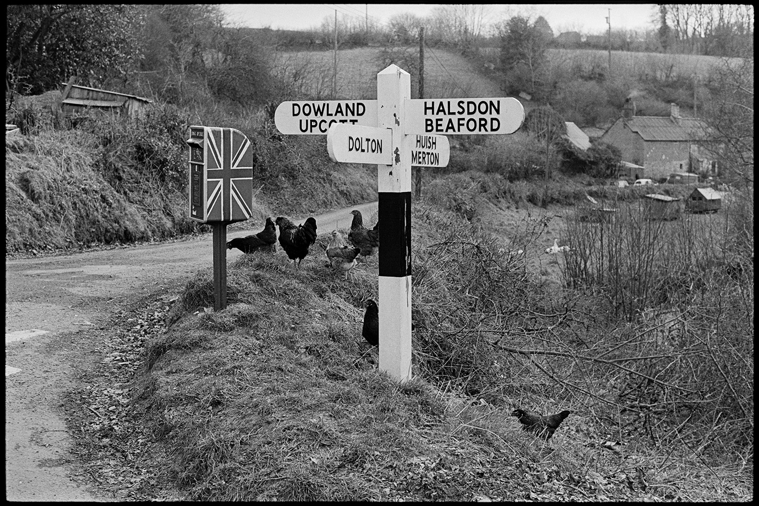 Snow scene with chickens and road sign at crossroads. 
[Chickens by a road and signpost at Woolridge Cross, near Millhams, Dolton. A post box with a union jack painted on it is next tot eh signpost and cottages can be seen in the background.]