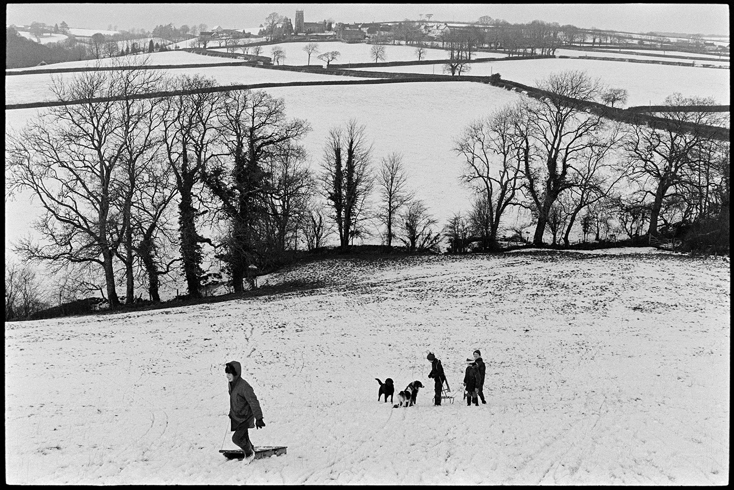 Children tobogganing in snow fields with dog. 
[Children playing with sledges and toboggans in a snow covered field at Parsonage, Iddesleigh. They are accompanied by dogs.]