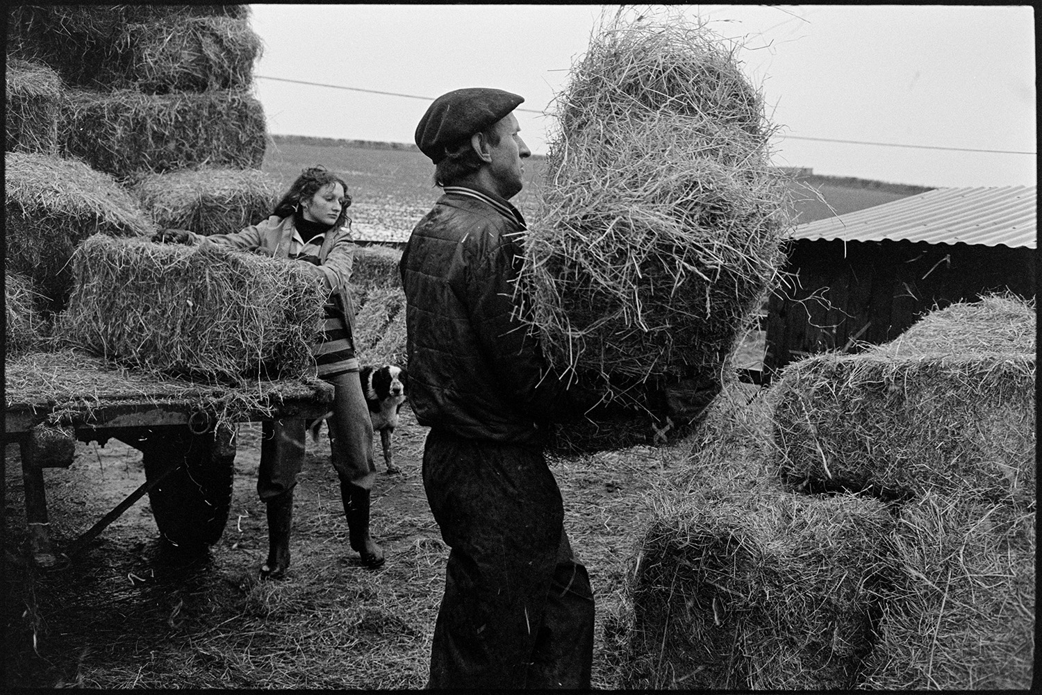 Farmer and his daughter loading hay and walking in fields. 
[Ivor Bourne and his daughter, Marylin Bourne, unloading hay bales from a trailer at Jeffrys, Beaford, also known as Mill Road Farm.]