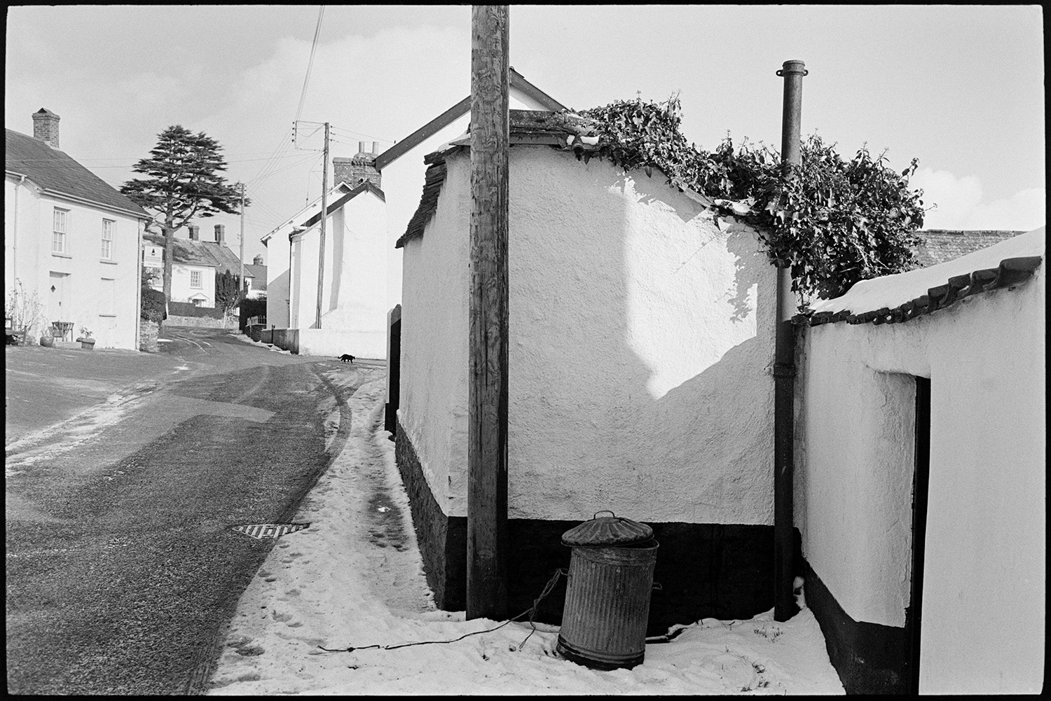 Street scene, cob walls, snow. 
[A cob wall fronting onto a street in Dolton. Snow has gathered on the edge of the street by a dustbin in the foreground. Houses and a cat can be seen further along the street.]