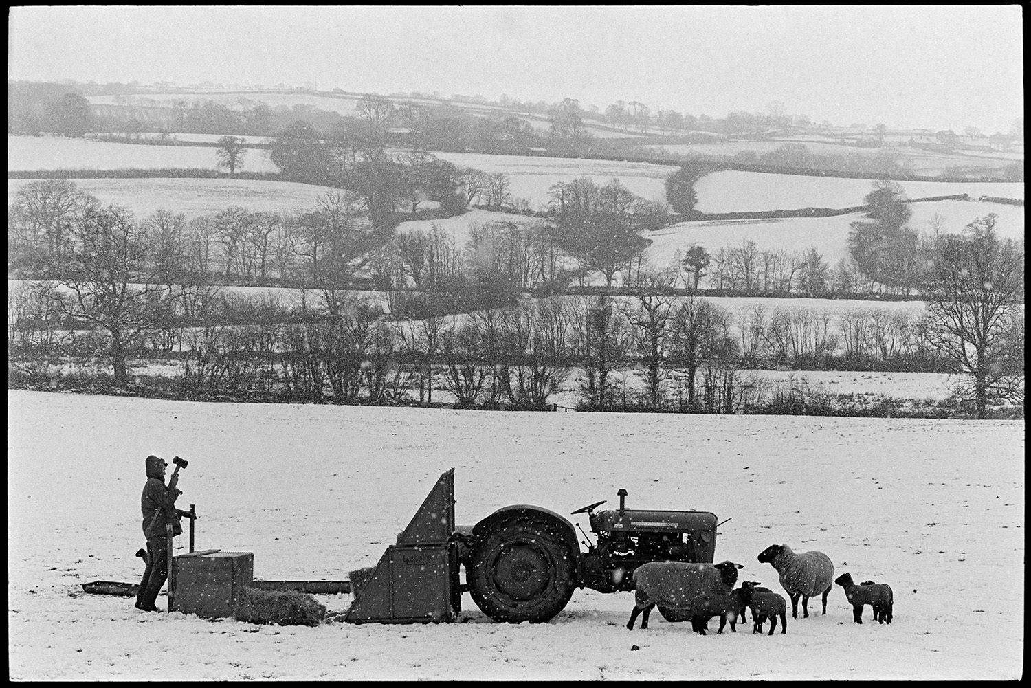 Farmer taking hay and water tank out to snowbound sheep. 
[Graham Ward taking hay bale and a water tank to sheep in a snow covered field at Parsonage, Iddesleigh using a tractor and link box. He is securing the water tank. A landscape of snow covered fields and trees is visible in the background.]