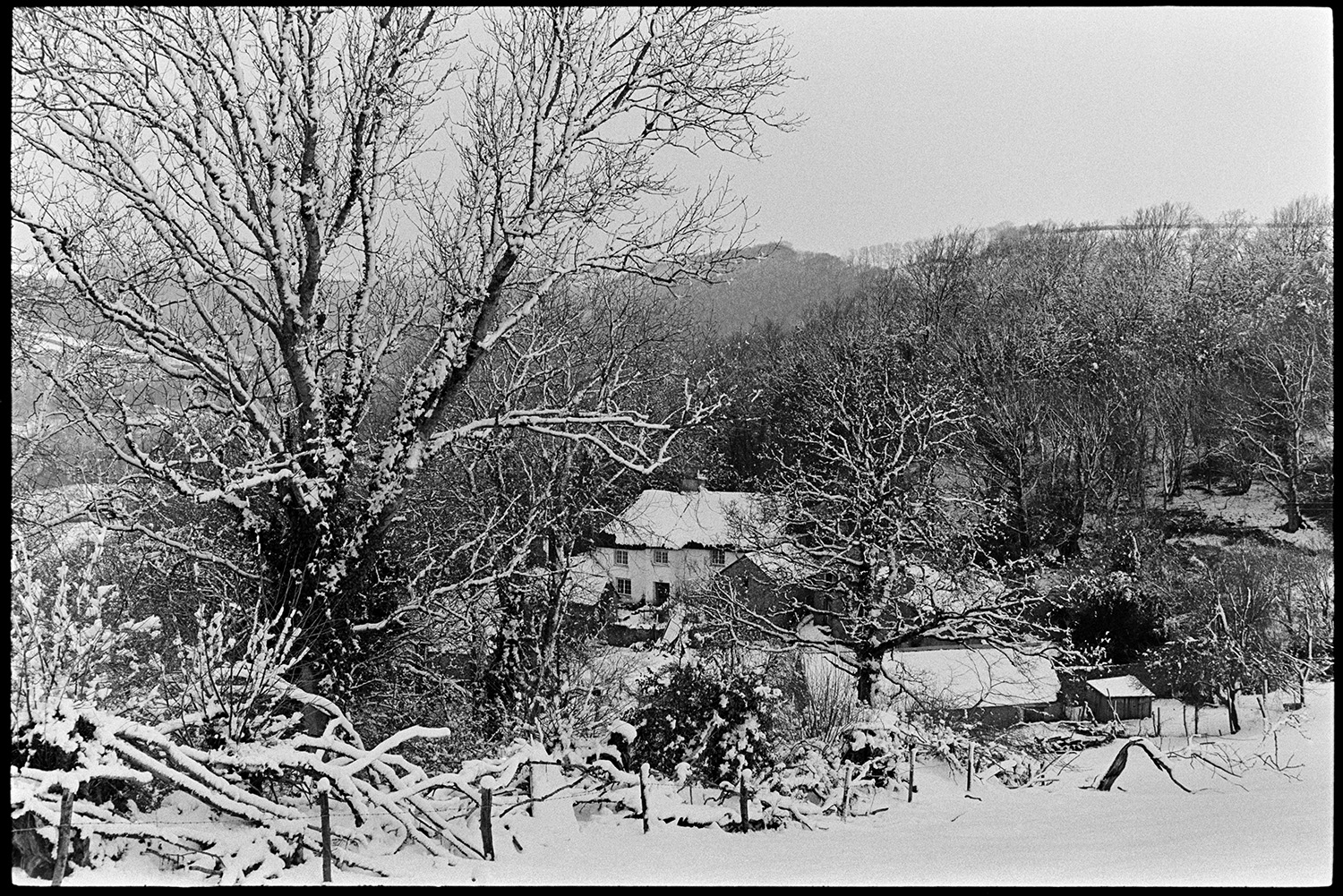 Farm under snow, farmer taking hay to cattle with dogs. 
[A farmhouse and farm buildings covered in snow and surrounded by trees in a valley at Ashwell, Dolton.]