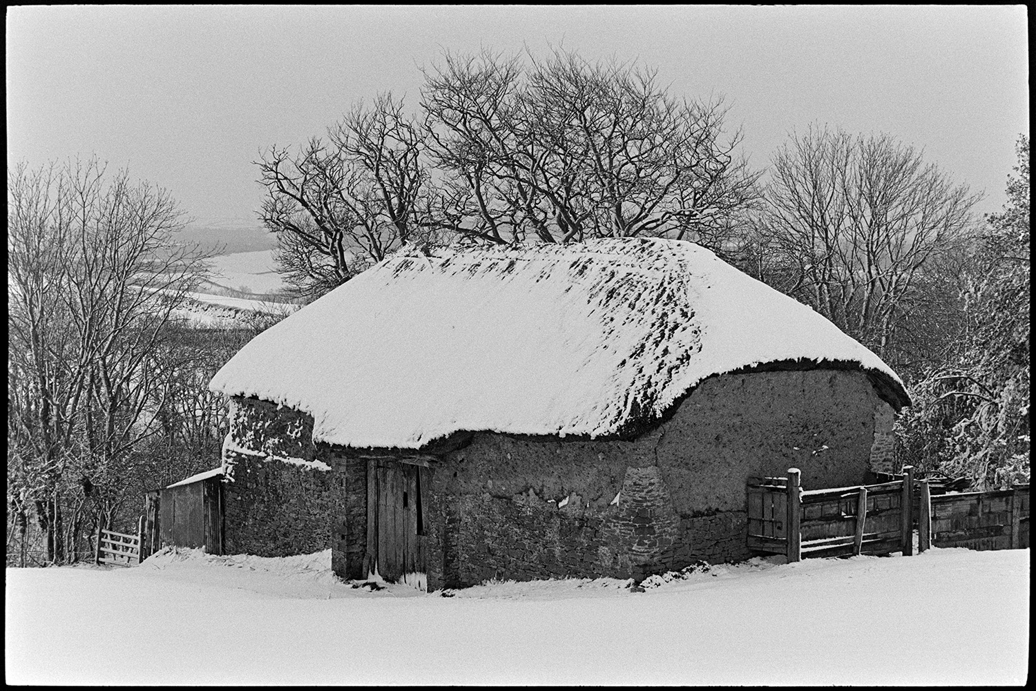 Snow, cob and thatched barn, now demolished. 
[A snow covered cob and thatched barn near Beaford Wood. It was later demolished.]