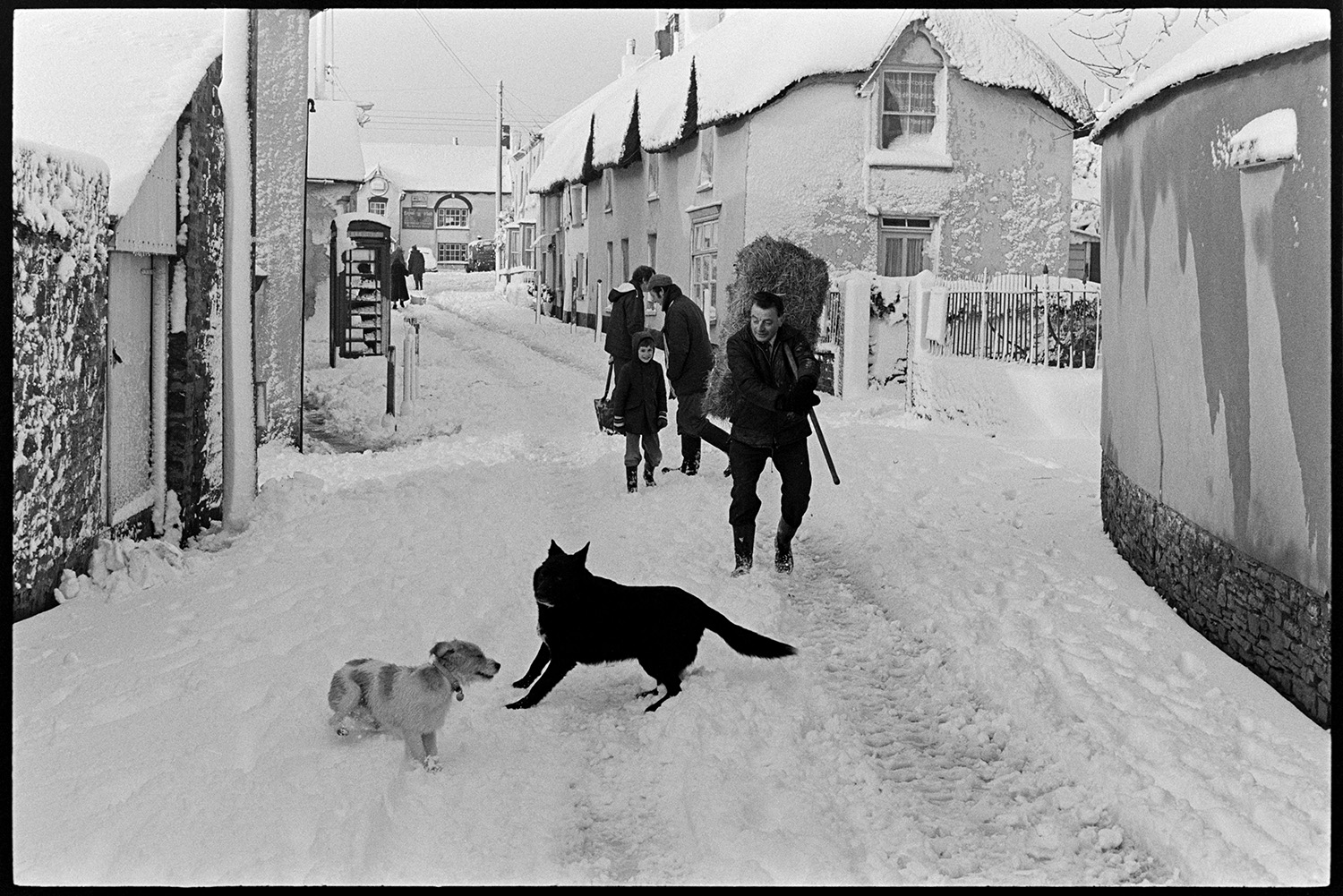 Snow, man taking hay through village to fields, woman with dog. 
[Cyril Nott carrying a hay bale on his back using a pitch fork, through the snow in Fore Street, Dolton. Other people are in the street in the snow and a person can be seen in the telephone box in the background, opposite thatched cottages. Two dogs are playing in the foreground.]