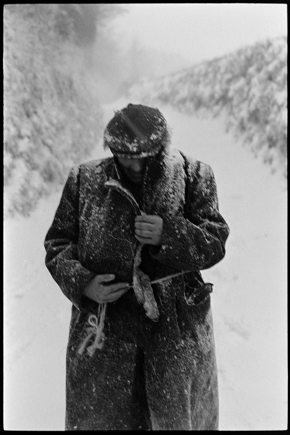 Snow, farmer carrying sick lamb in blizzard. 
[Ivor Brock walking along a snow covered lane in a blizzard at Millhams, Dolton. He is carrying a sick lamb under his coat.]