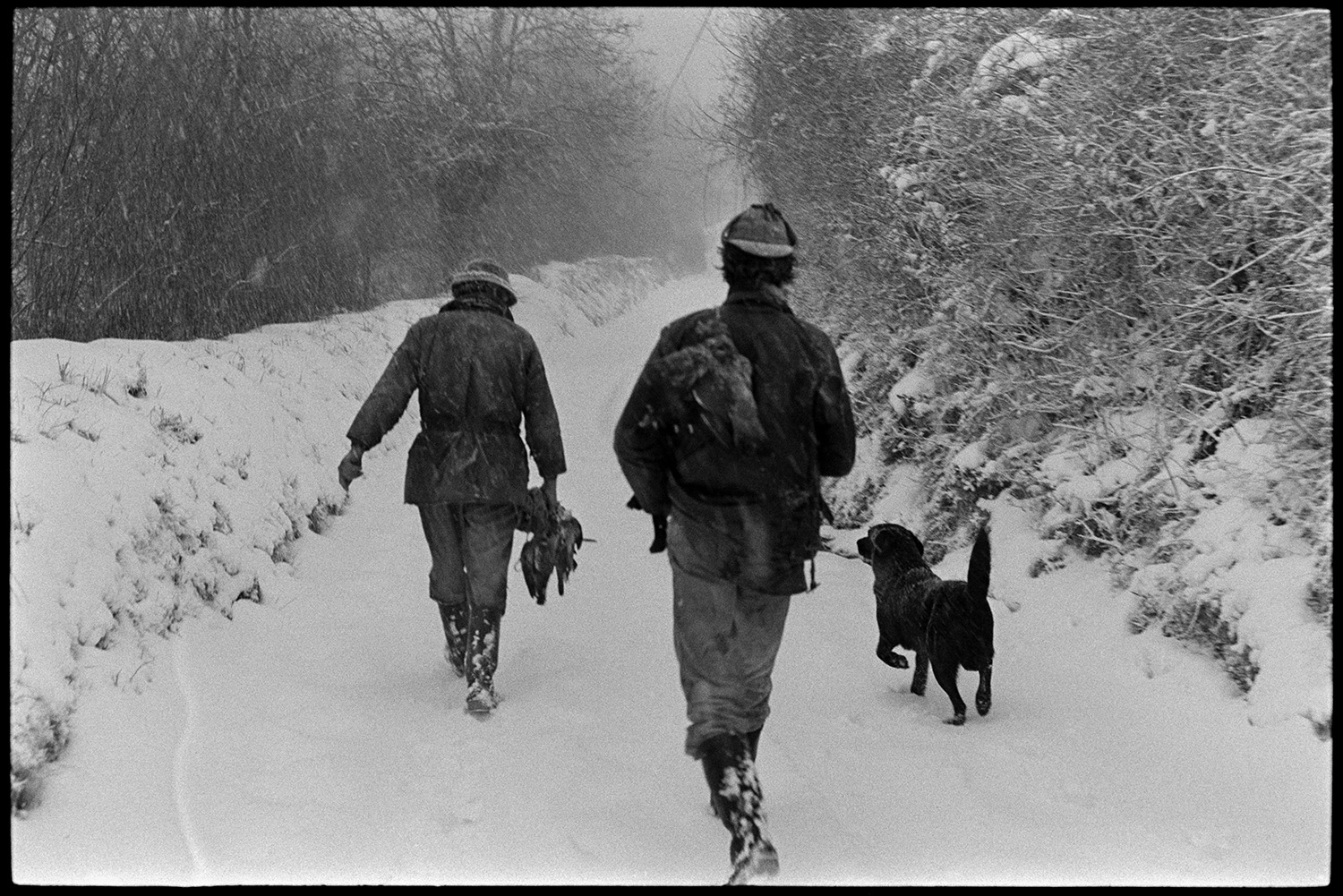 Men shooting in snow carrying pheasants. 
[Andrew Joynson and another man walking along a snow covered lane with a dog at Millhams, Dolton. They are carrying pheasants which they have shot. Snow is also falling.]