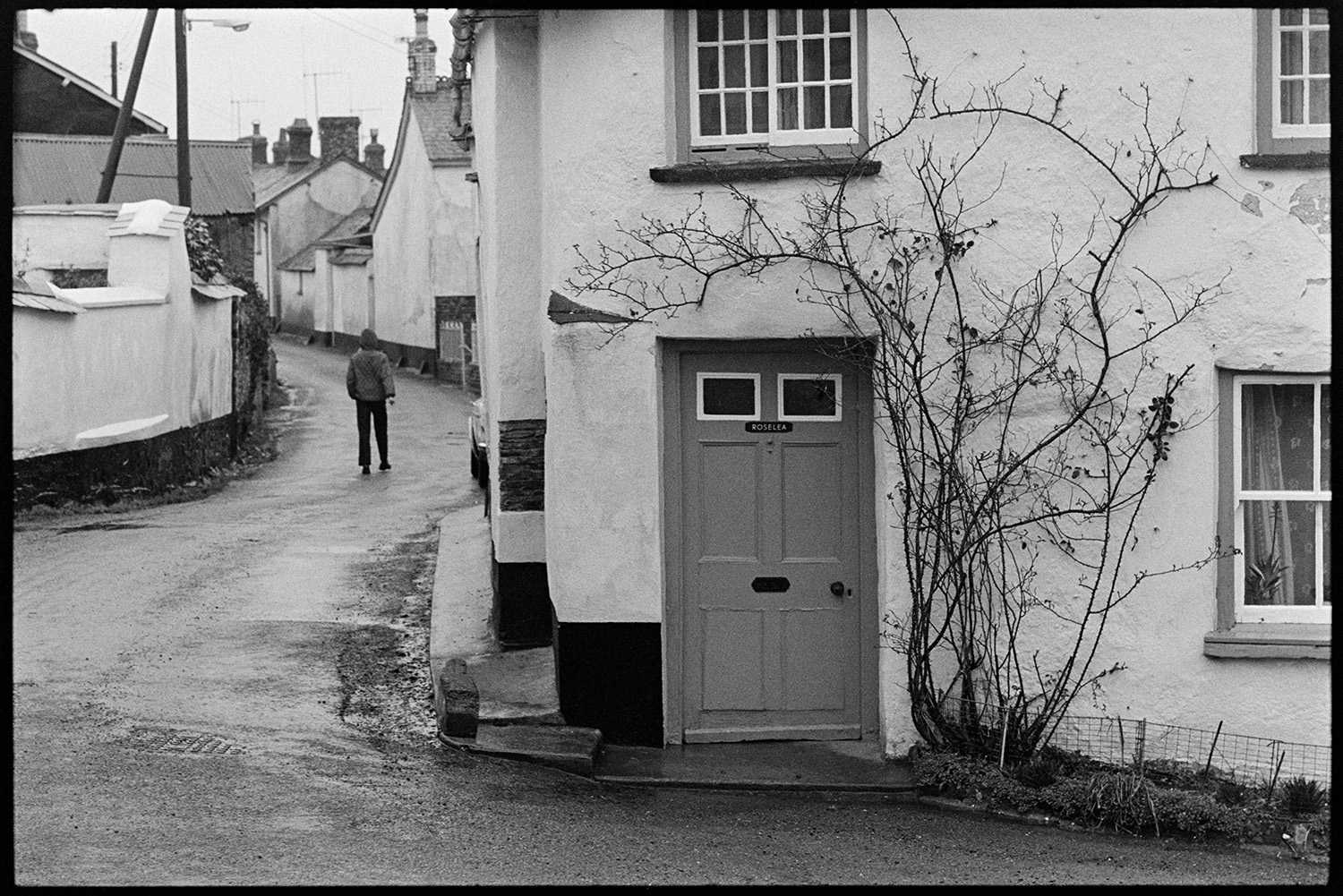 Street scenes, woman shopping. 
[A person walking along a street in Dolton. In the foreground a rose is growing around the door of Roselea Cottage.]