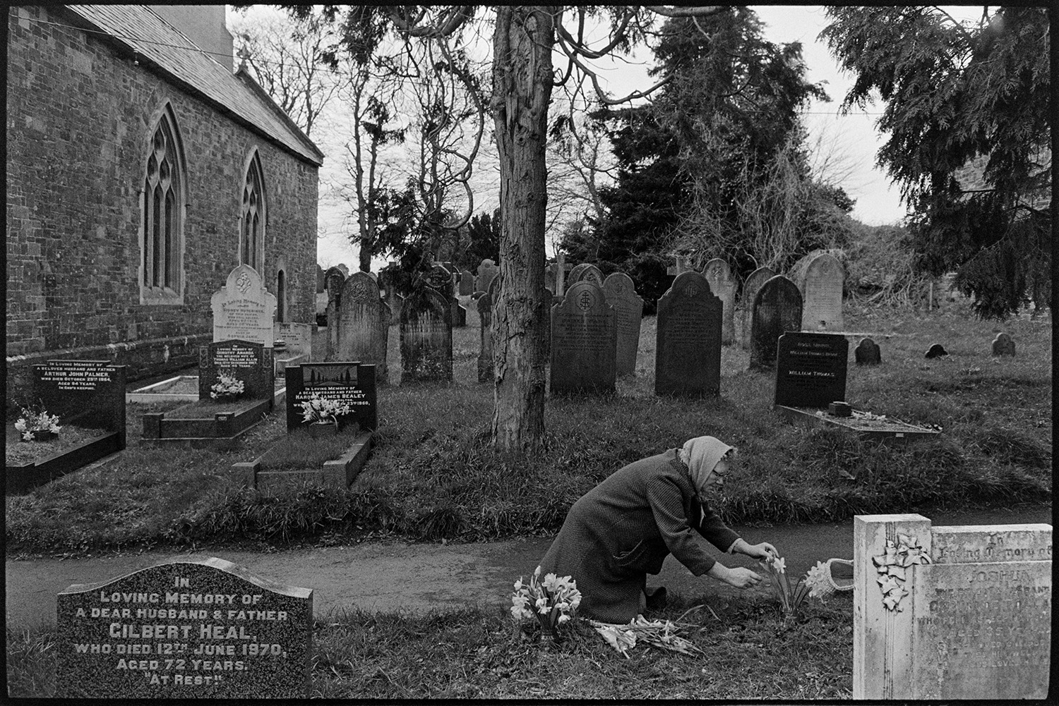 Woman putting flowers on grave for Easter.
[A woman placing daffodils on a grave in the churchyard at Dolton. Gravestones and the exterior of the church can be seen in the background.]