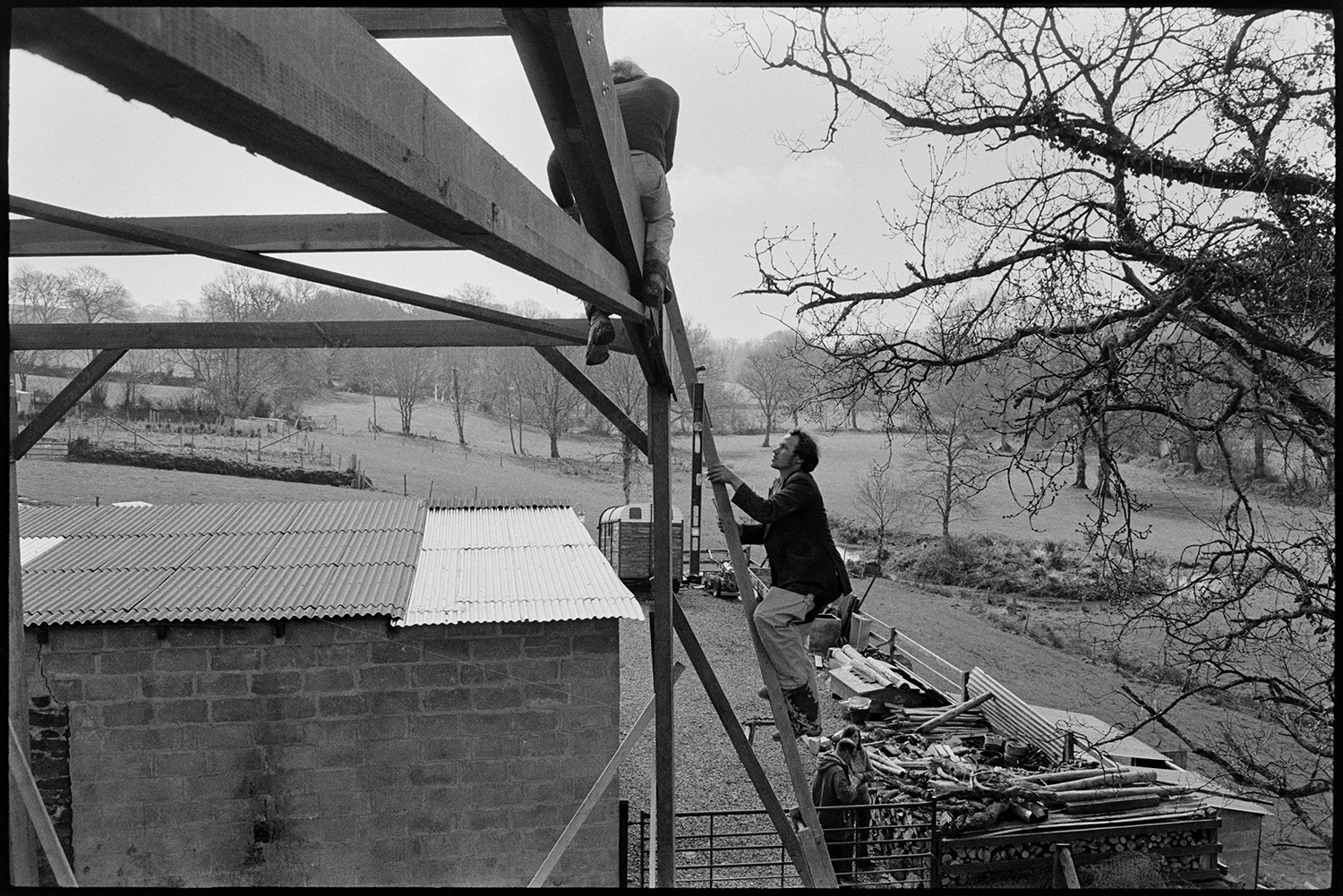 Men building metal and timber framed barn shed. 
[Two men working on a timber and metal frame for a barn near New Bridge, Dolton. One of the men is sat on the frame and the other is climbing a ladder. Construction materials and a barn with a corrugated iron roof are visible in the background.]