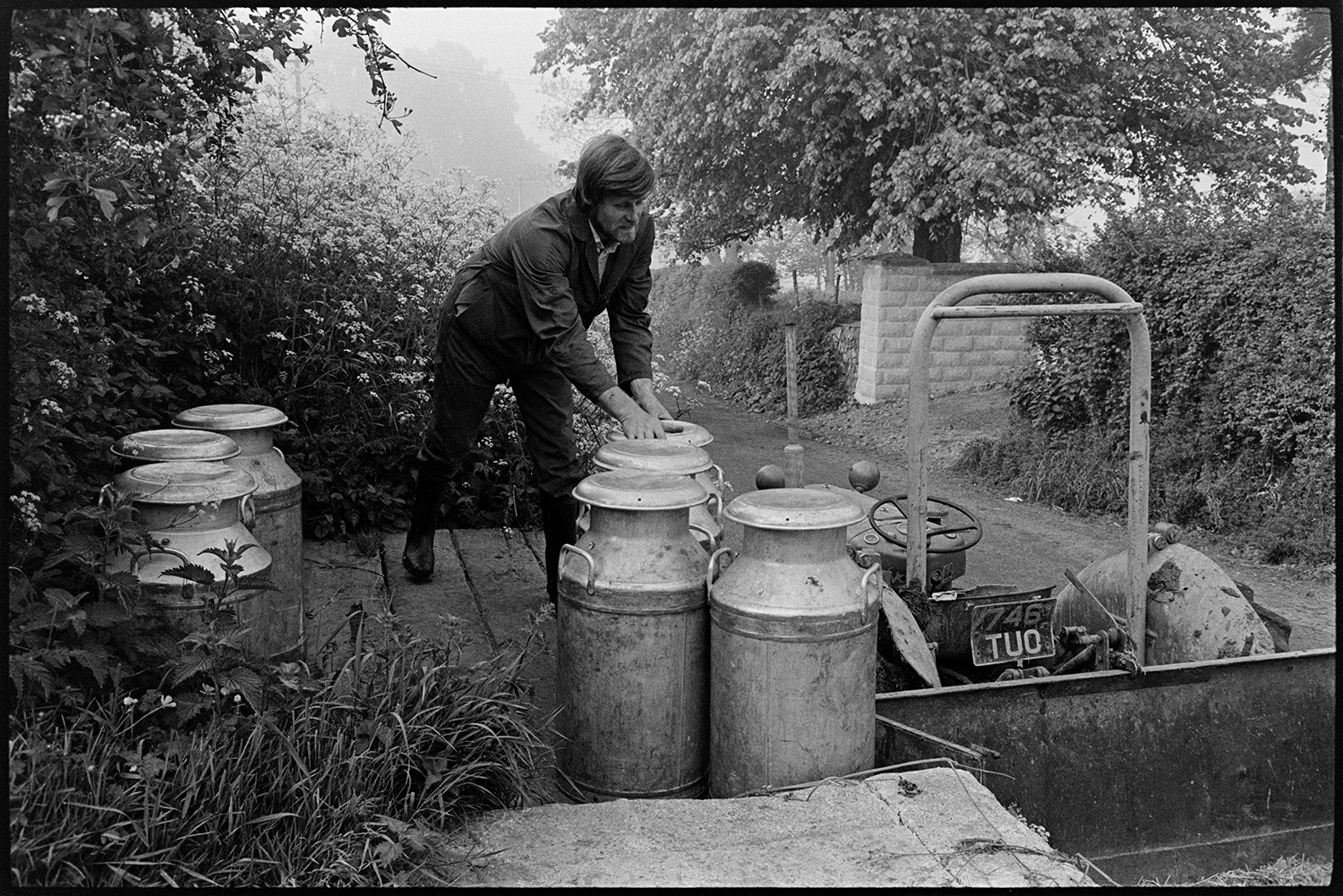 Farmer transferring milk churns to stand by tractor and link box. 
[A man lifting milk churns from a link box and tractor onto a wooden milk churn stand in a hedge at a roadside in Sheepwash.]