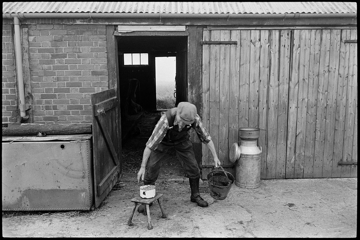 Farmer bringing in cows to be milked and clearing shed. 
[Gordon Sanders picking up a milking stool and a bucket outside a farm buildings at Reynards Park, Ashreigney. A milk churn is stood by wooden doors to the building.]
