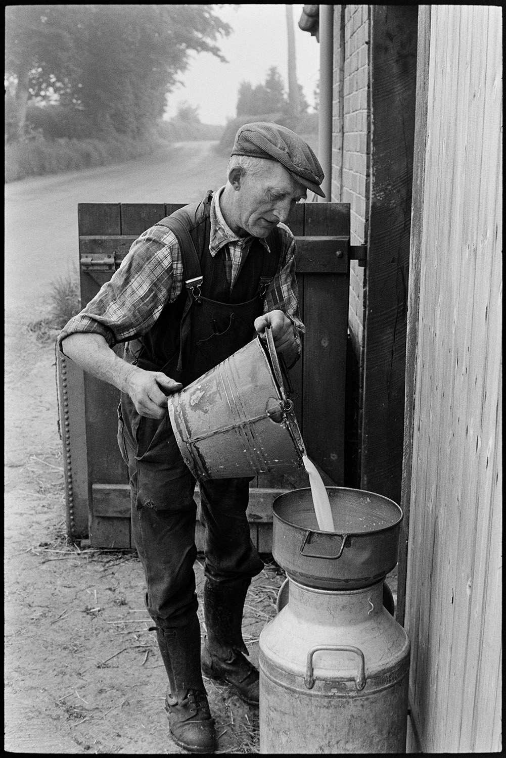 Farmer milking cow by hand and pouring milk into churn. 
[Gordon Sanders pouring milk from a bucket into a churn, outside a barn by a roadside, at Reynards Park, Ashreigney.]