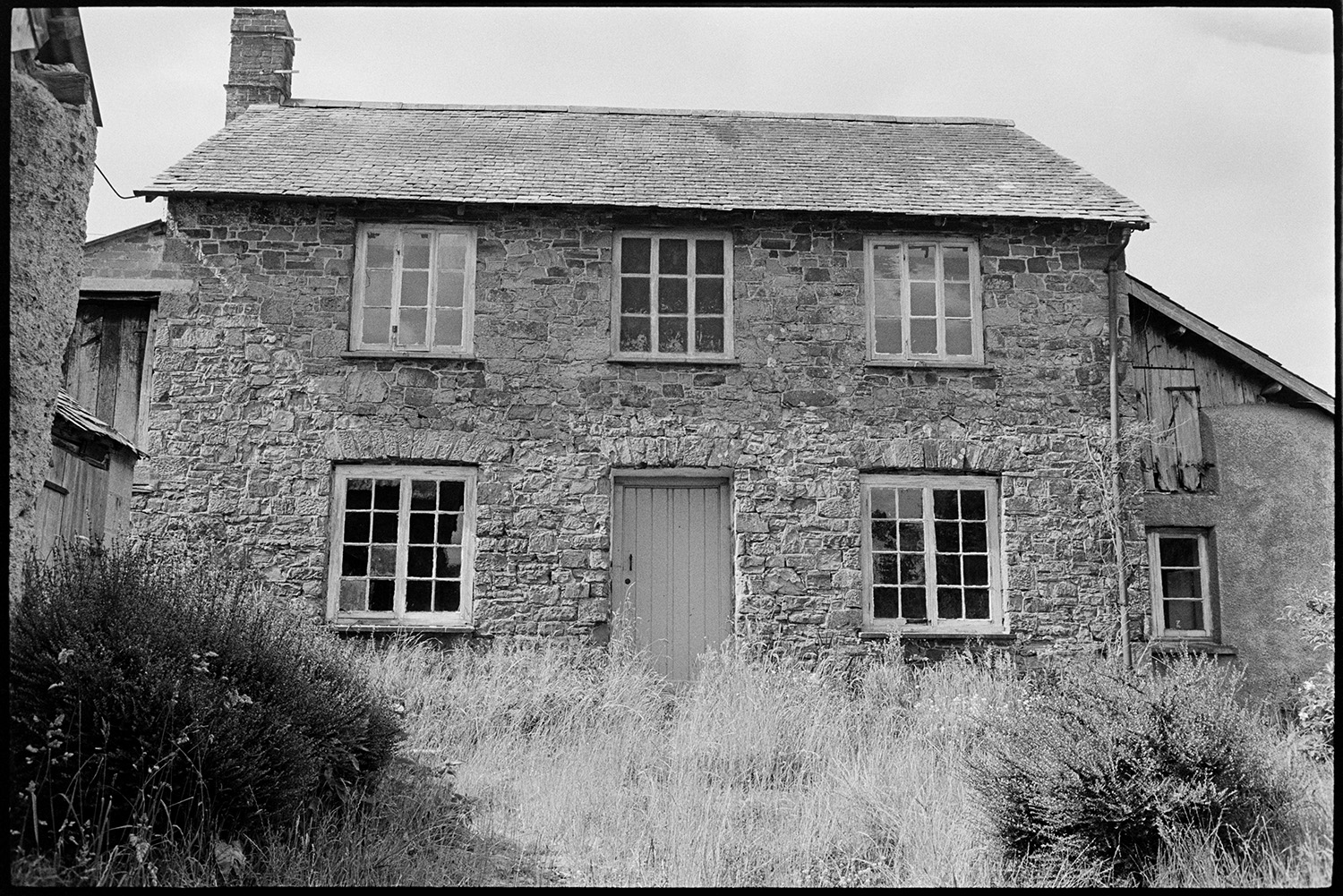 House, stone and slate, nice windows. 
[A stone and slate house with an overgrown garden near Bridge Reeve, Chulmleigh. Some of the windows are broken and barns can be seen adjacent to the house.]
