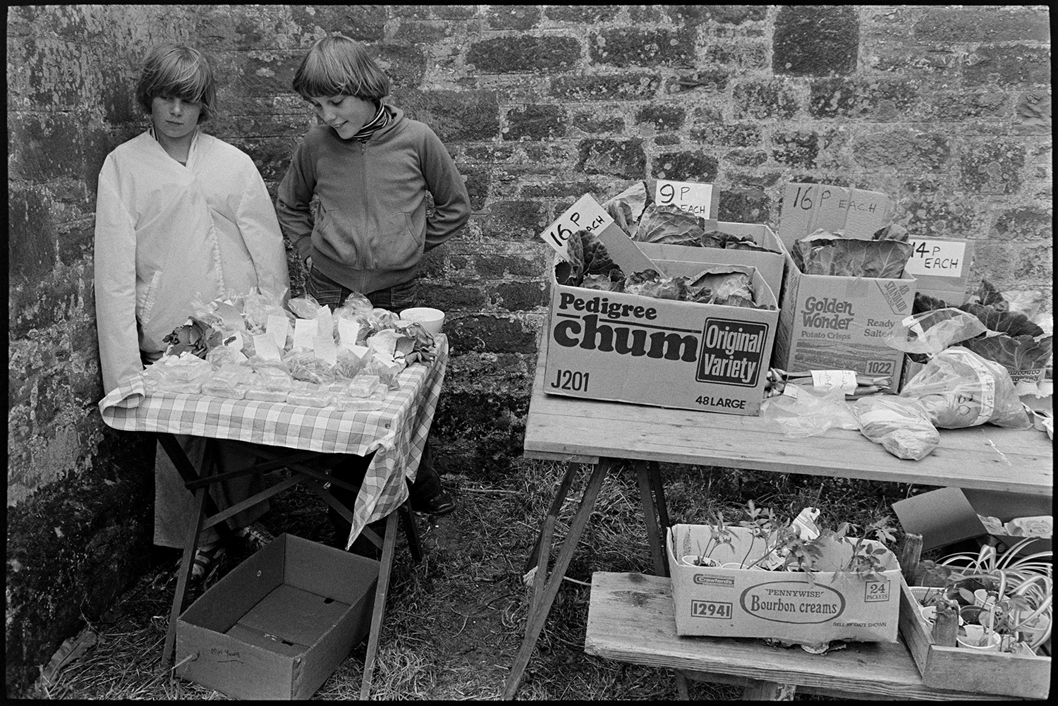 Produce stall at Flower Show. 
[Two children running a stall at Marwood Flower Show. The table next to them has plants and vegetables for sale, including cabbages, rhubarb and tomatoes.]