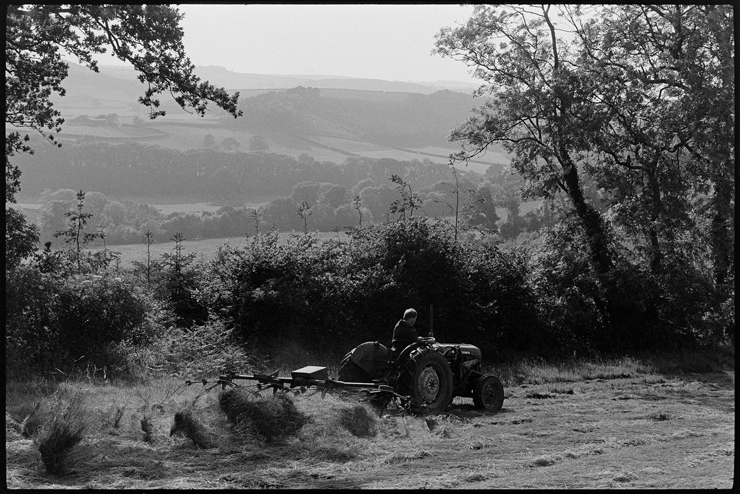 Farmer whisking grass. 
[Alan Berry turning grass with a tractor and whisk in a field at Ashwell, Dolton. A landscape of fields and trees can be seen in the background.]