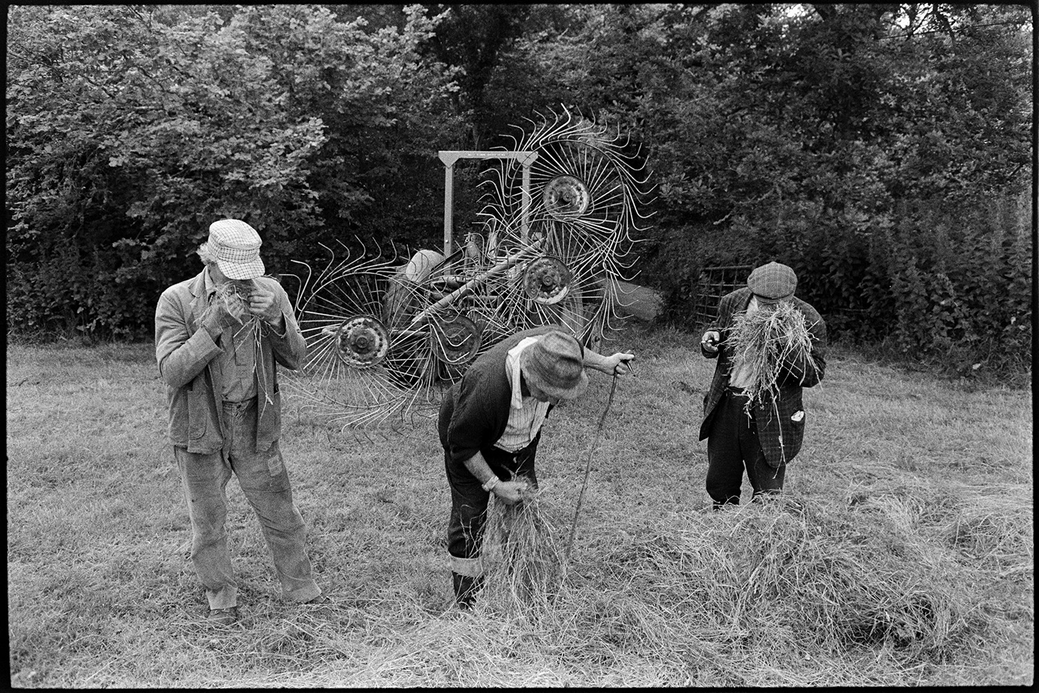 Farmers whisking hay and standing about talking about it! 
[Archie Parkhouse, in the centre, and two other men smelling hay which they have whisked, in a field at West Lane, Dolton. The whisk can be seen in the background.]