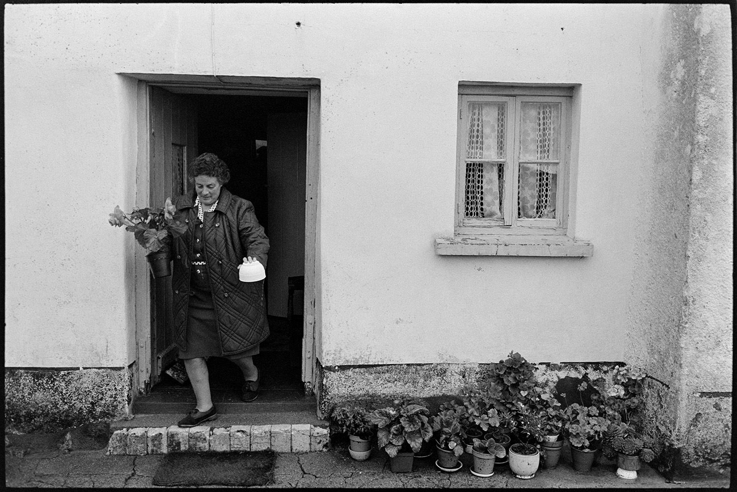 Taking flower arrangement of wild flowers to show. 
[Mrs Piper leaving her cottage at Upcott, Dolton holding a plant which she is taking to Dolton Flower Show. More pot plants are arranged by the doorstep.]