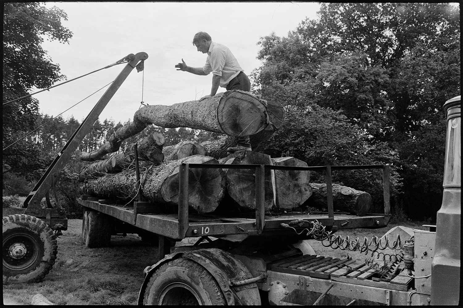 Men sawing up felled timber and loading on to lorry using tractor and winch. 
[A man guiding a winch which is loading a felled tree trunk onto a lorry in a field at Halsdon, Dolton. The winch is from Lethabys timber merchants.]