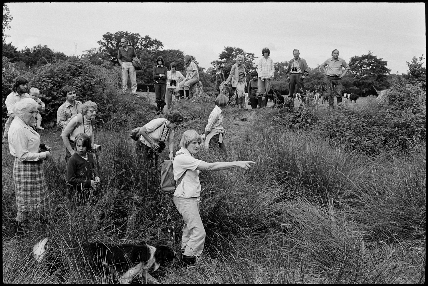 Guided nature walk on nature reserve. 
[Margaret Tulloh taking a group of men and women on a guided nature walk at Halsdon Nature Reserve, Dolton. She is pointing to something in the undergrowth. A dog is with her.]