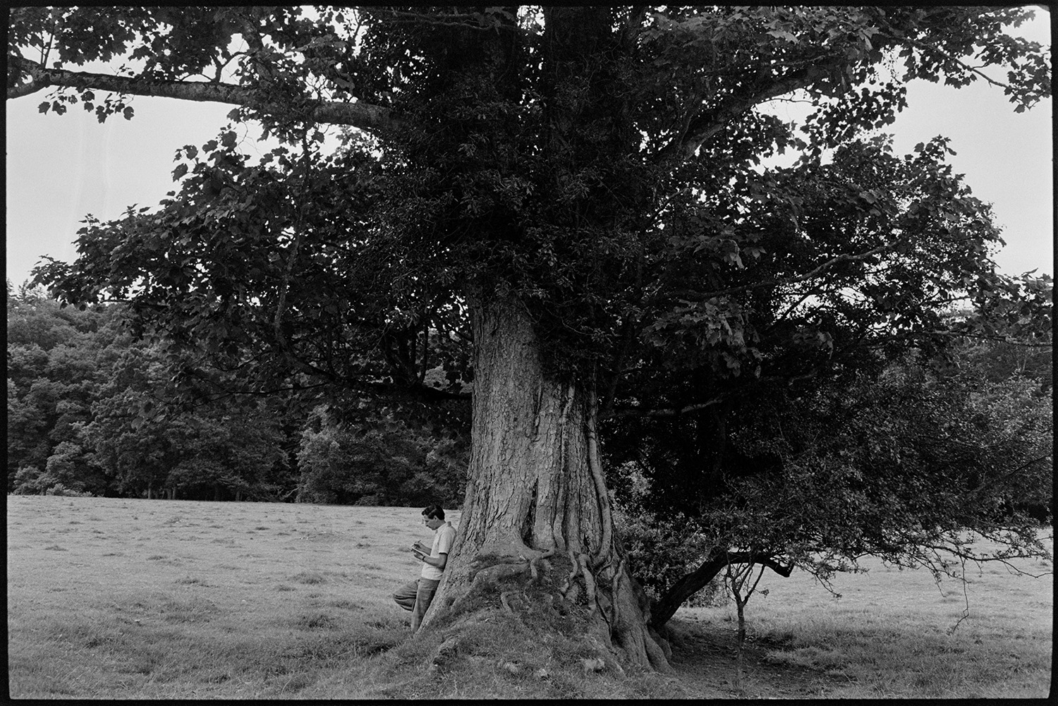 Guided nature walk on nature reserve. 
[A man leaning against the trunk of an oak tree sketching, at Halsdon Nature Reserve whilst on a guided nature walk.]
