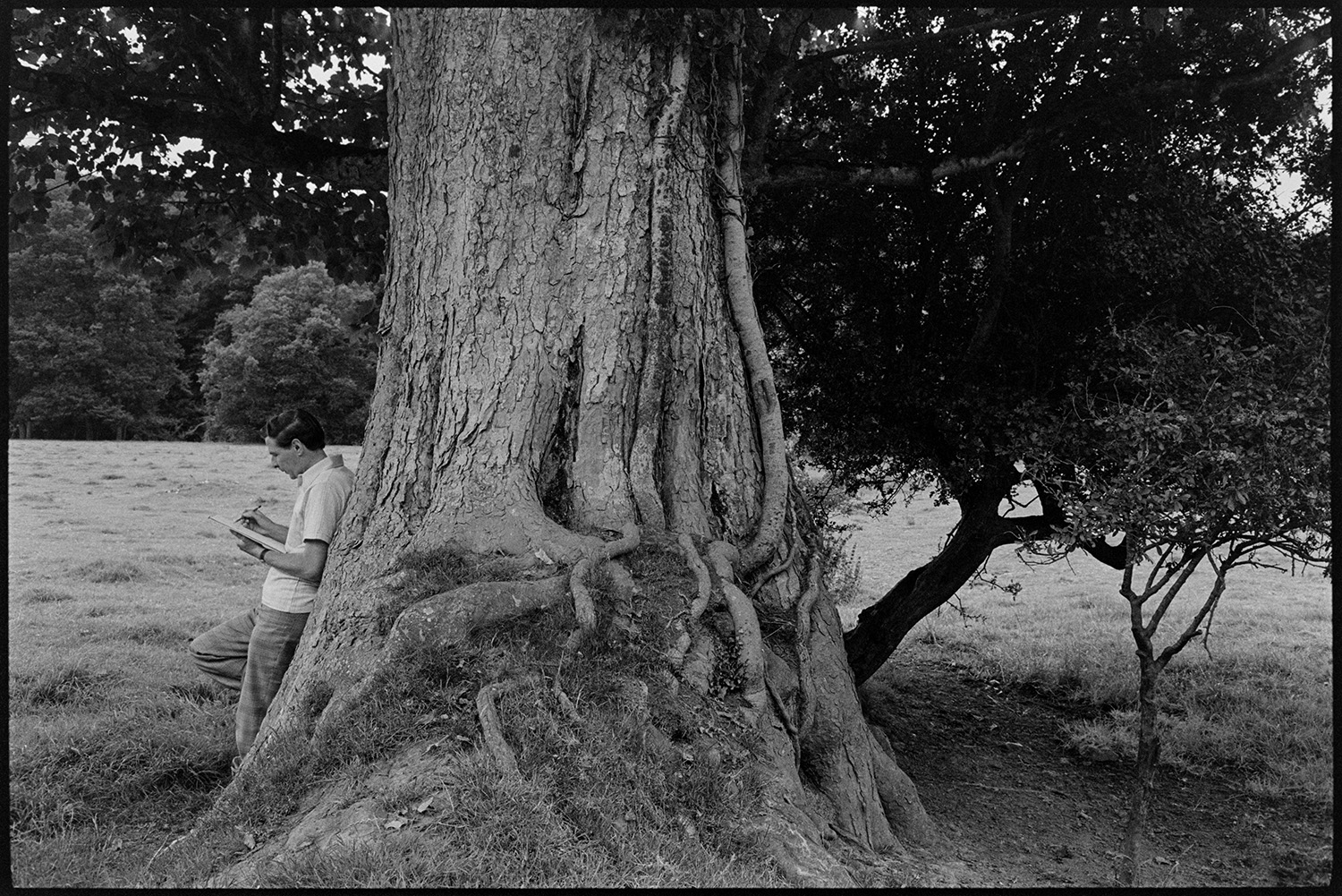 Guided nature walk on nature reserve. 
[A man sketching by the trunk of an oak tree at Halsdon Nature Reserve, Dolton, whilst on a guided nature walk.]