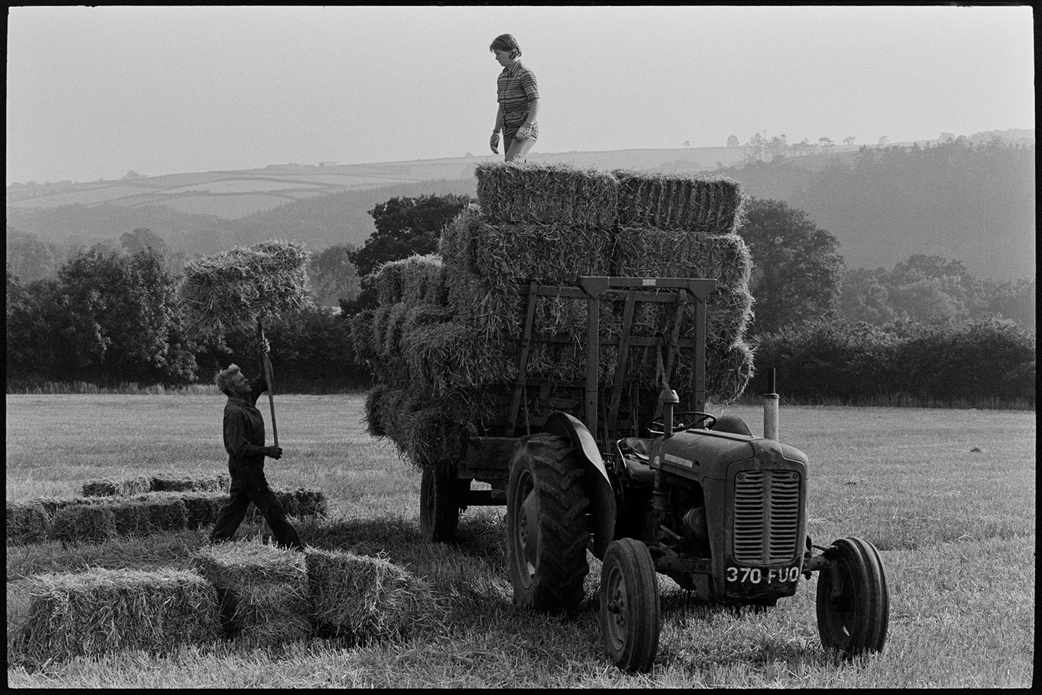 Haymaking, tractor and trailer being loaded and brought in past elm trees. Old tractor, orchard. 
[Alf Pugsley and another person loading hay bales onto a tractor and trailer, using a pitchfork, in a field at Lower Langham, Dolton.]