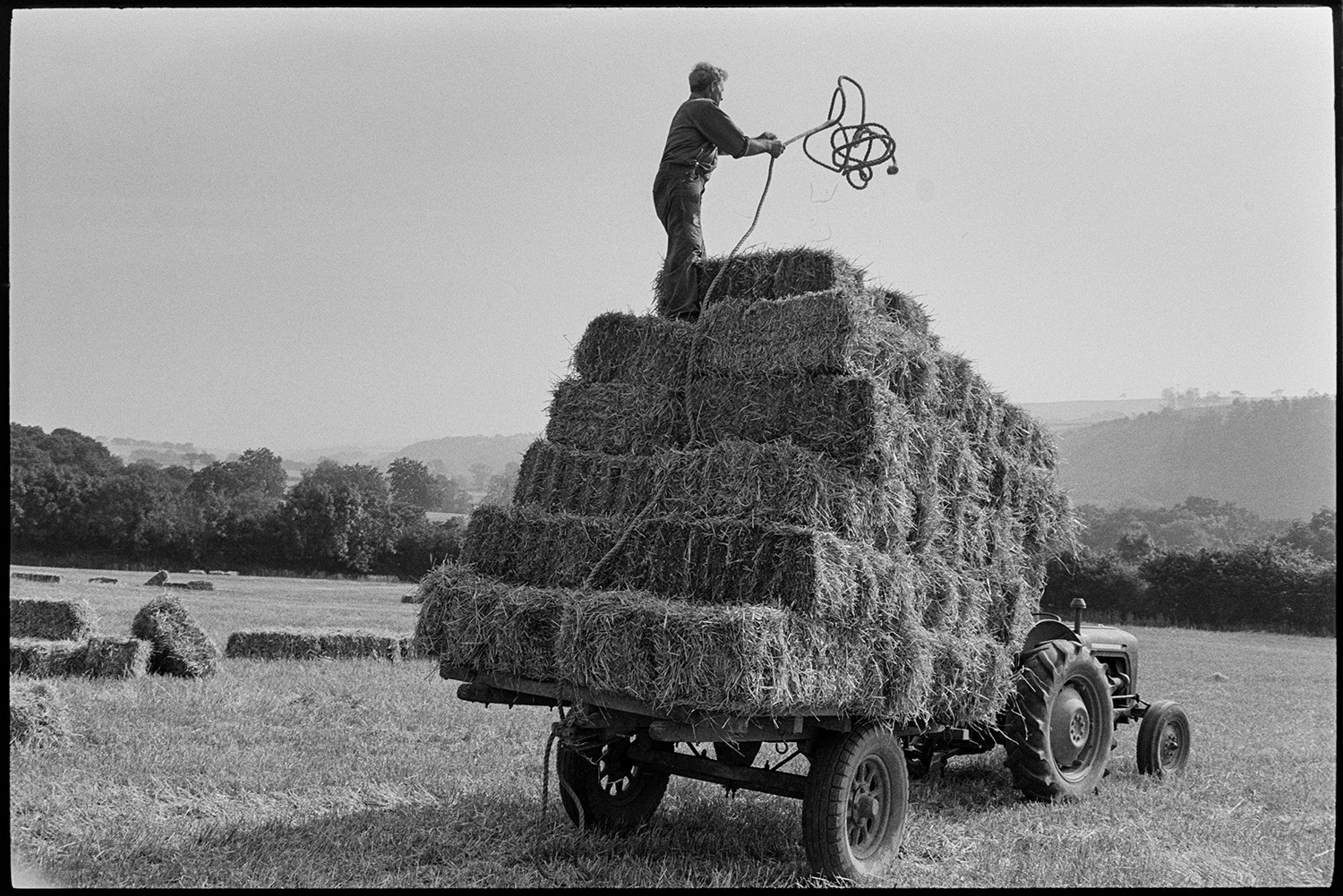 Haymaking, tractor and trailer being loaded and brought in past elm trees. Old tractor, orchard. 
[Alf Pugsley securing a load of hay bales on a tractor and trailer, using a rope, in a field at Lower Langham, Dolton.]