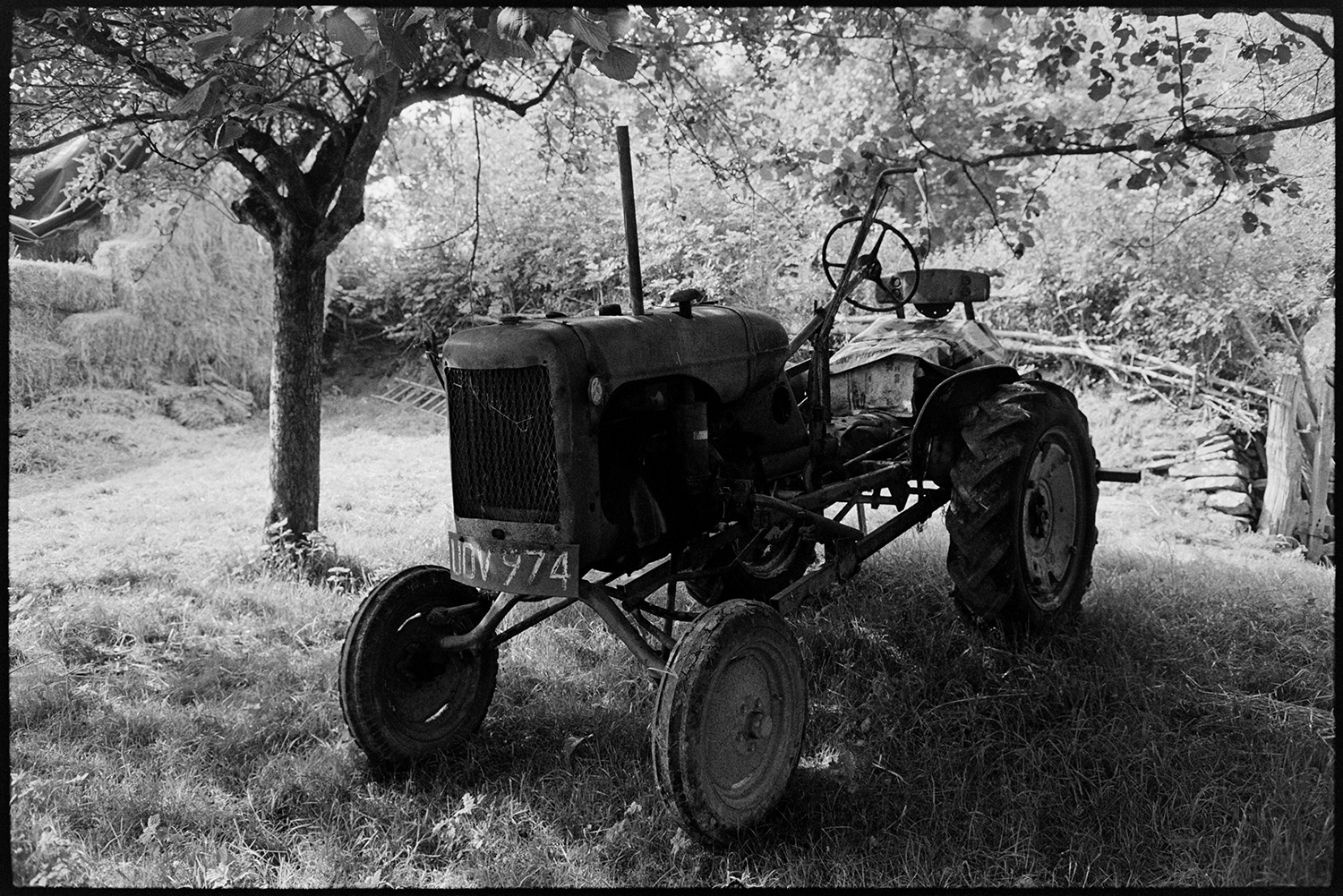 Haymaking, tractor and trailer being loaded and brought in past elm trees. Old tractor, orchard. 
[An old tractor under an apple tree in an orchard at Lower Langham, Dolton. Hay bales can be seen in the background.]