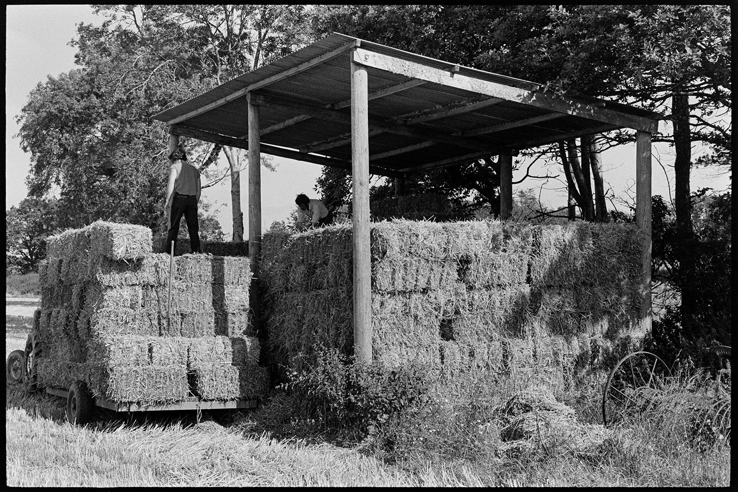 Haymaking, putting hay in barn. 
[Two men unloading hay bales from a trailer into a barn with open sides and a corrugated iron roof, in a field at Dowland. Trees can be seen behind the barn.]