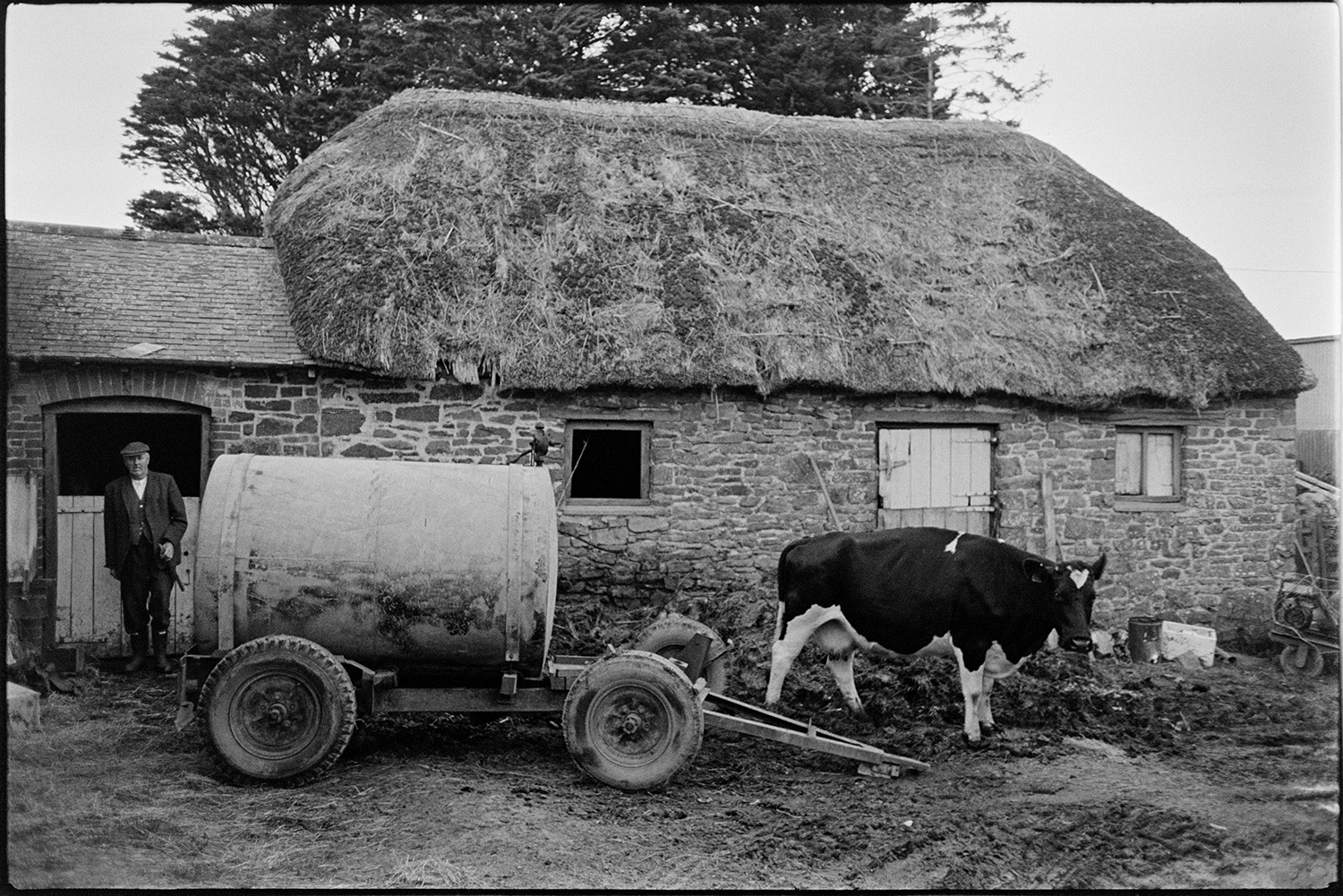 Thatched stone barn, water tank, good building. 
[A water tank on a trailer and a cow in the muddy farmyard at High House, Atherington. A thatched stone barn is visible in the background and Mr Wescott is stood outside the barn.]