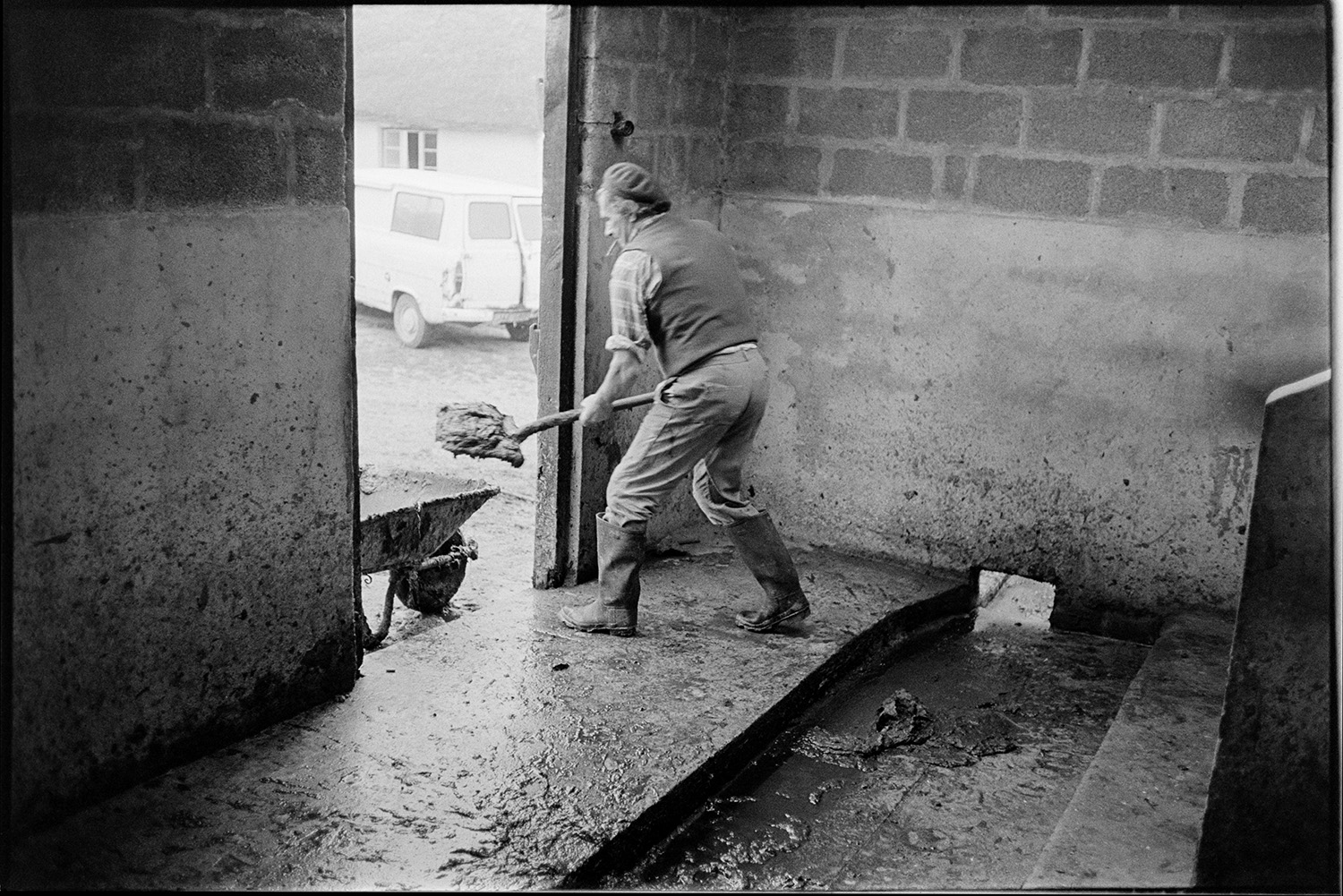 Farmer washing out milking parlour after milking. 
[William Medland mucking out the milking parlour at Hallcourt, Petrockstowe after milking cows. He is using a shovel and wheelbarrow.]