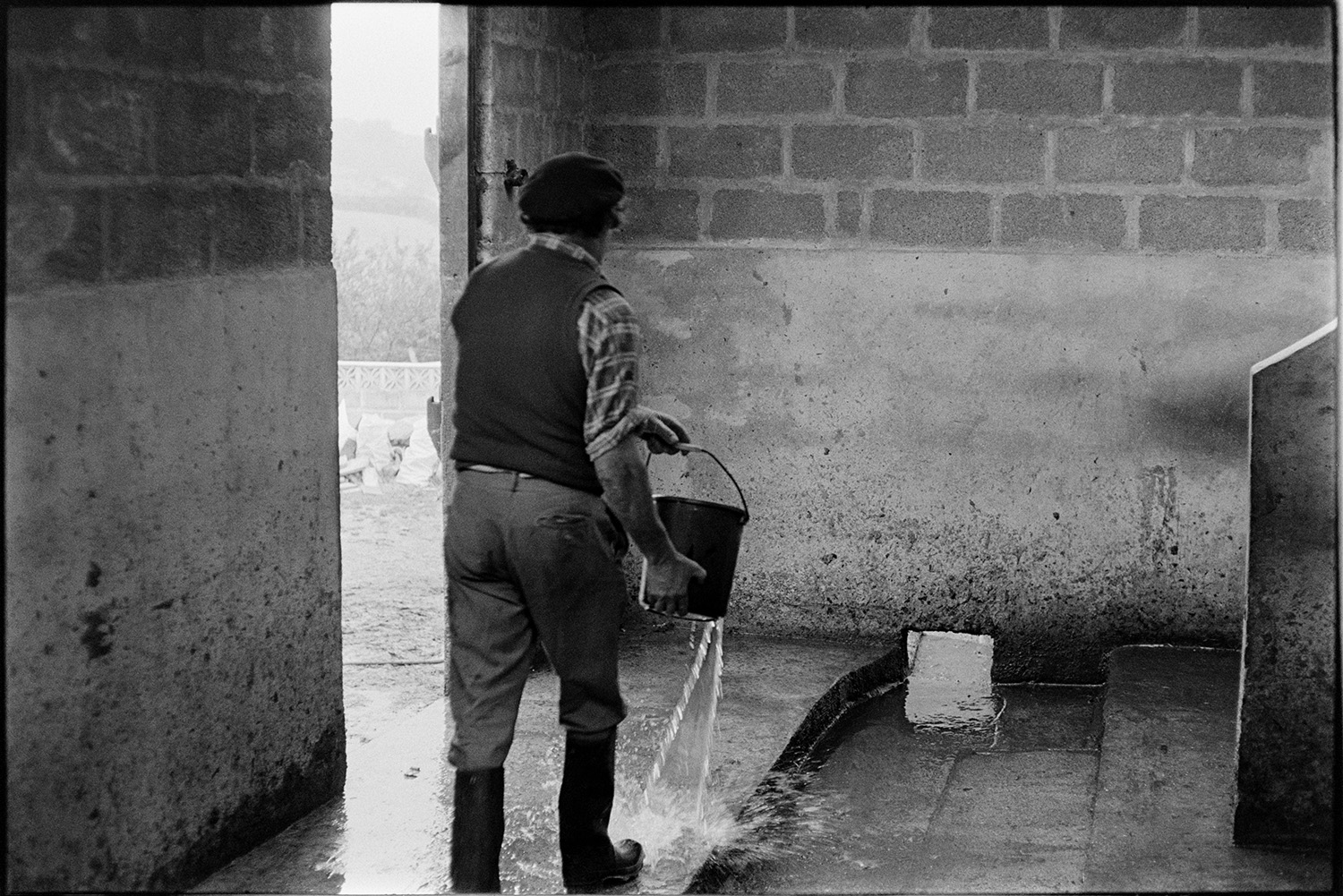 Farmer washing out milking parlour after milking. 
[William Medland washing the milking parlour at Hallcourt, Petrockstowe with a bucket of water.]