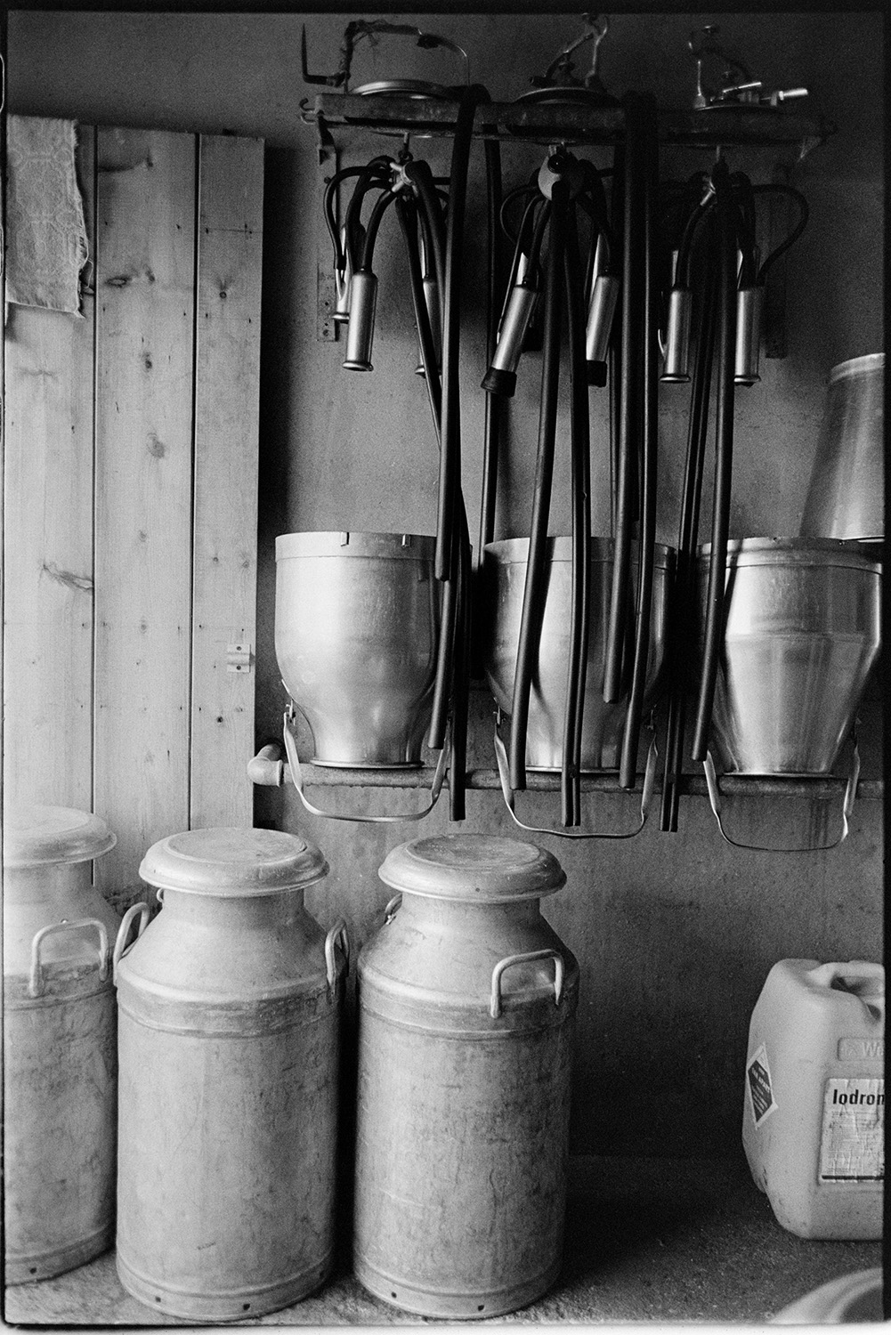 Dairy equipment, milk churns hoses etc hanging on wall. 
[Milk churns and hoses for milking machines stacked and hung on the wall in the milking parlour at Hallcourt, Petrockstowe.]
