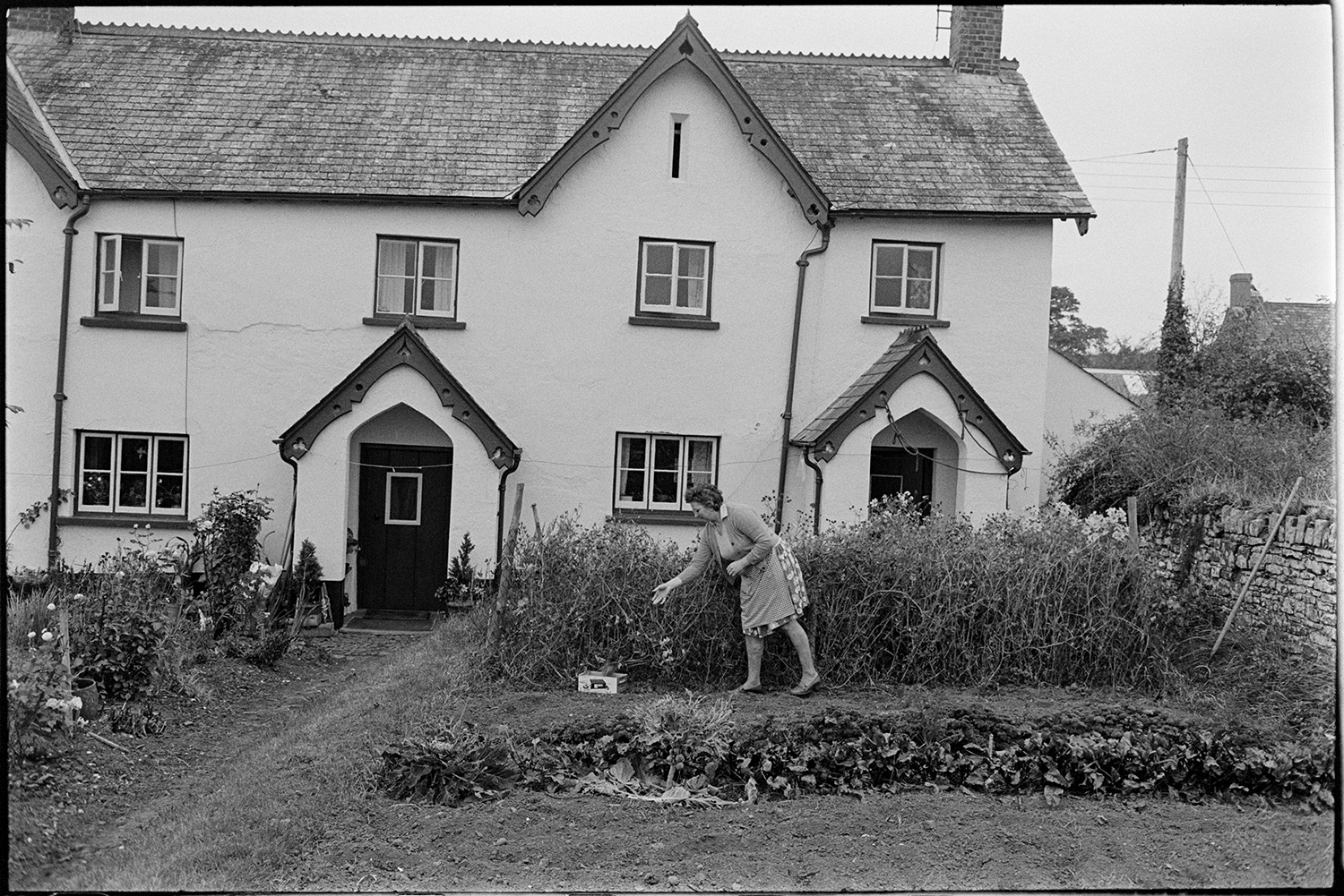 Woman picking peas in garden in front of house, man at door. 
[A woman picking peas in her front garden outside estate cottages with decorative porches in Merton.]