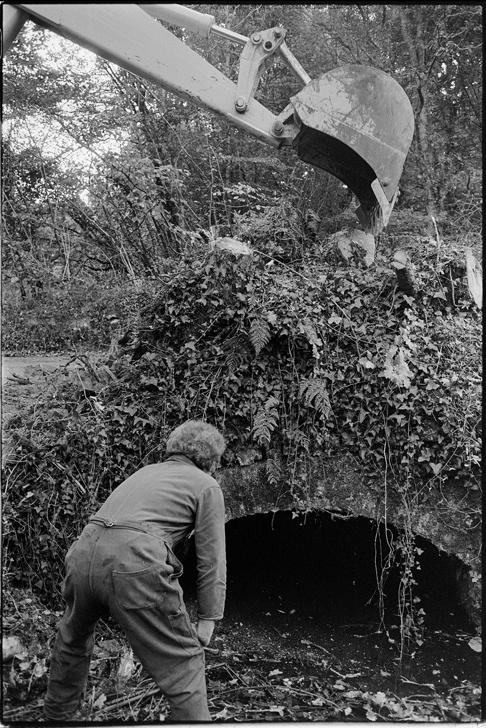 Men clearing round bridge before repairing it. 
[A man guiding a JCB digger to clear foliage from a bridge before its repaired at Addisford, Dolton.]