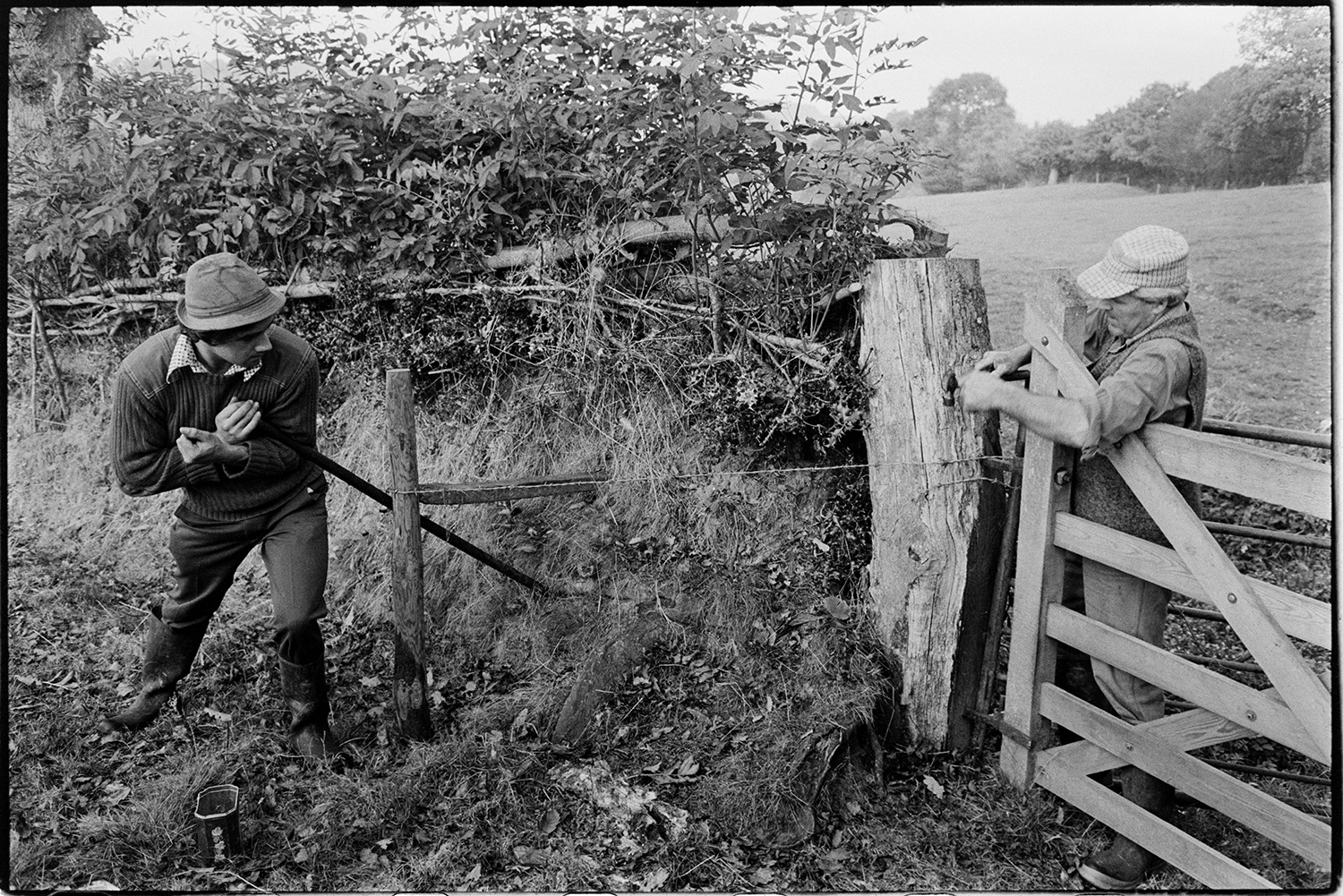 Farmers mending fencing. 
[Alf Pugsley and Stephen Squire mending the fence by a field gateway at Lower Langham, Dolton. Alf Pugsley is leaning over the field gate.]