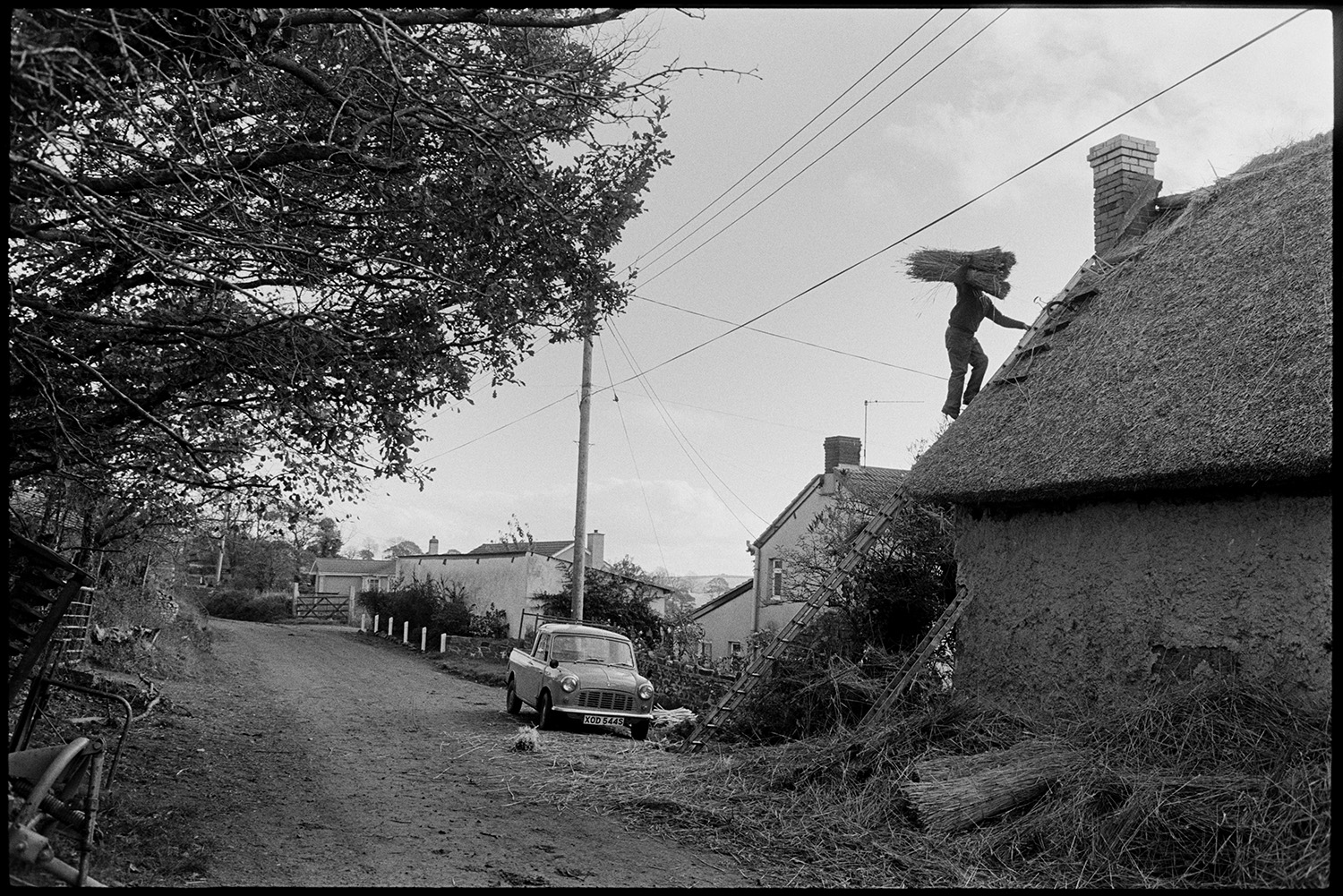 Thatcher working in village and talking to farmer. 
[Stanley Cole thatching a cottage roof in Upcott, Dolton. He is climbing a ladder holding bundles of thatching reed. A pile of reed is by the house wall and a truck is parked on the road.]