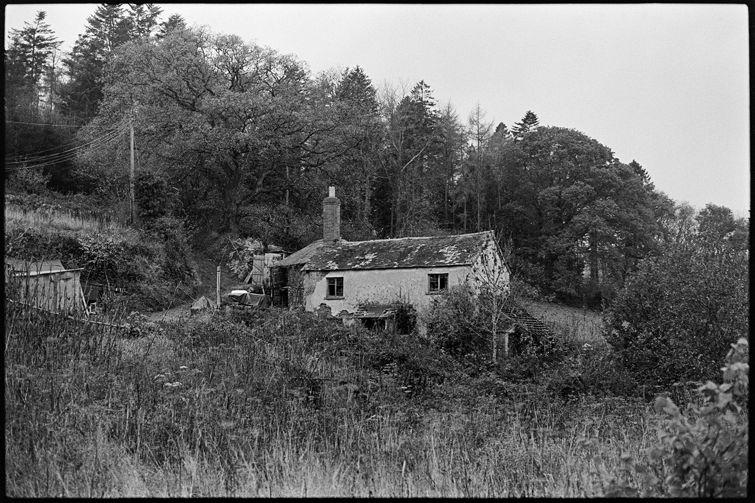 Small slated cob cottage, now demolished. 
[A small cob cottage with a slate roof and large chimney at Newbridge, Dolton. Trees and foliage surround the cottage. The cottage was later demolished.]