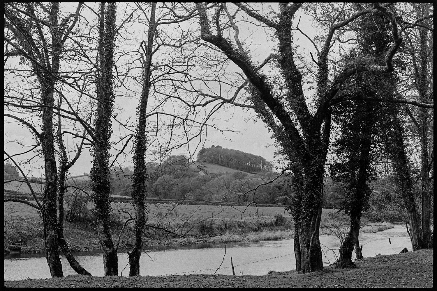 Landscapes with farm and trees by river. 
[The River Torridge running past fields and trees at Ashwell, Dolton. A hill with a wooded area can be seen in the background.]