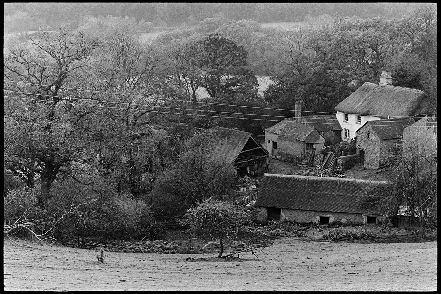 Landscapes with farm and trees by river. 
[The thatched farmhouse and farm buildings surrounded by woodland at Ashwell, Dolton.]